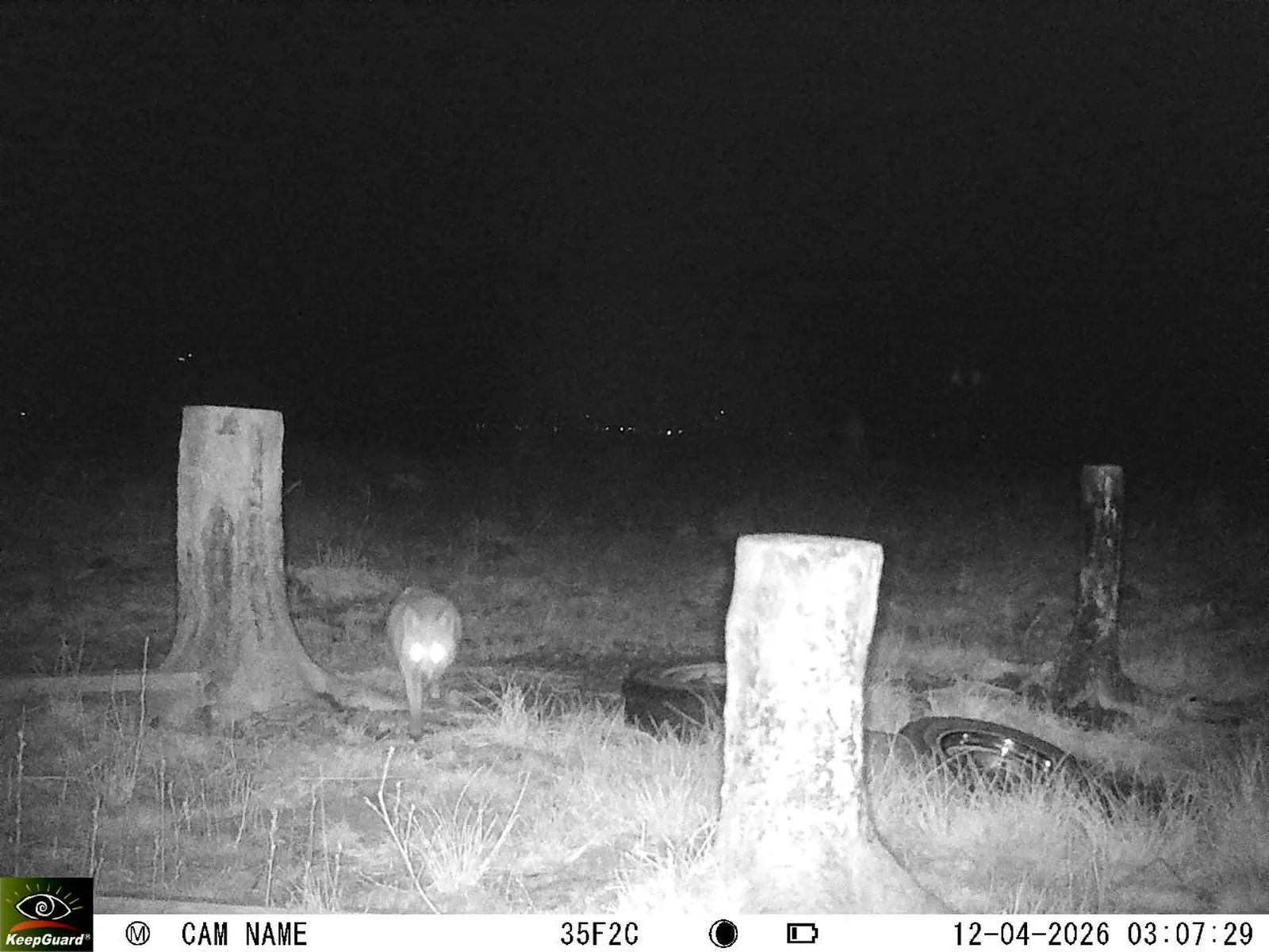 Bild: 1775956313679820310_04120690.webp