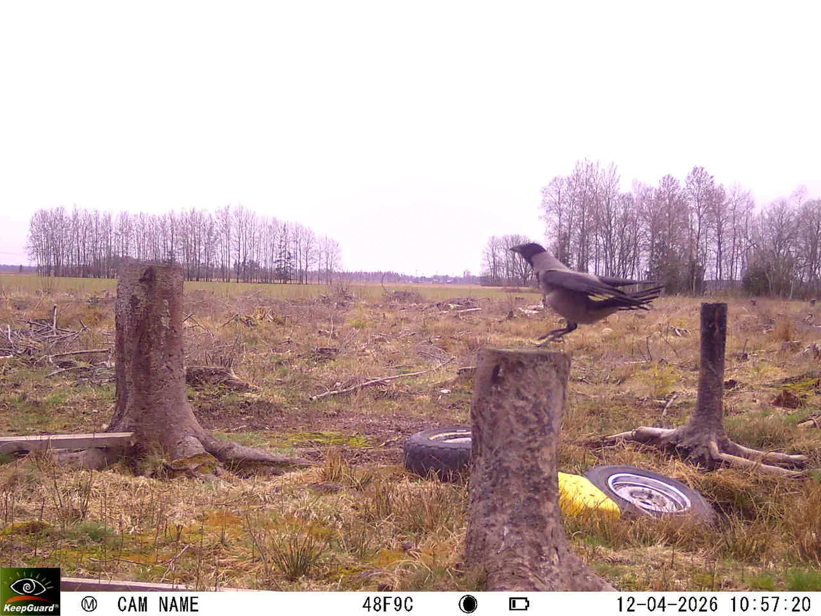 Bild: 1775984505395153877_04120691.webp