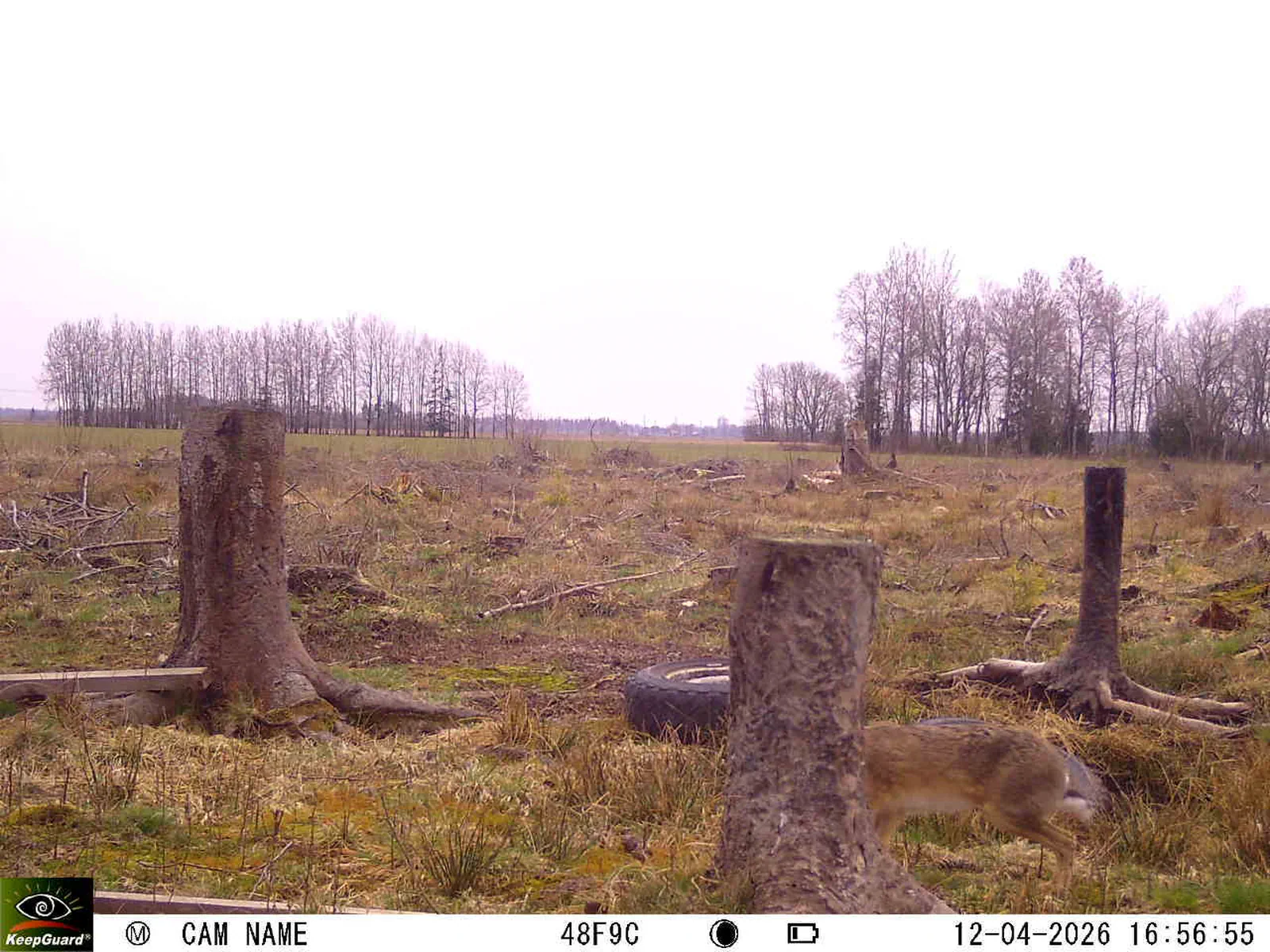 Bild: 1776006086171620923_04120692.webp