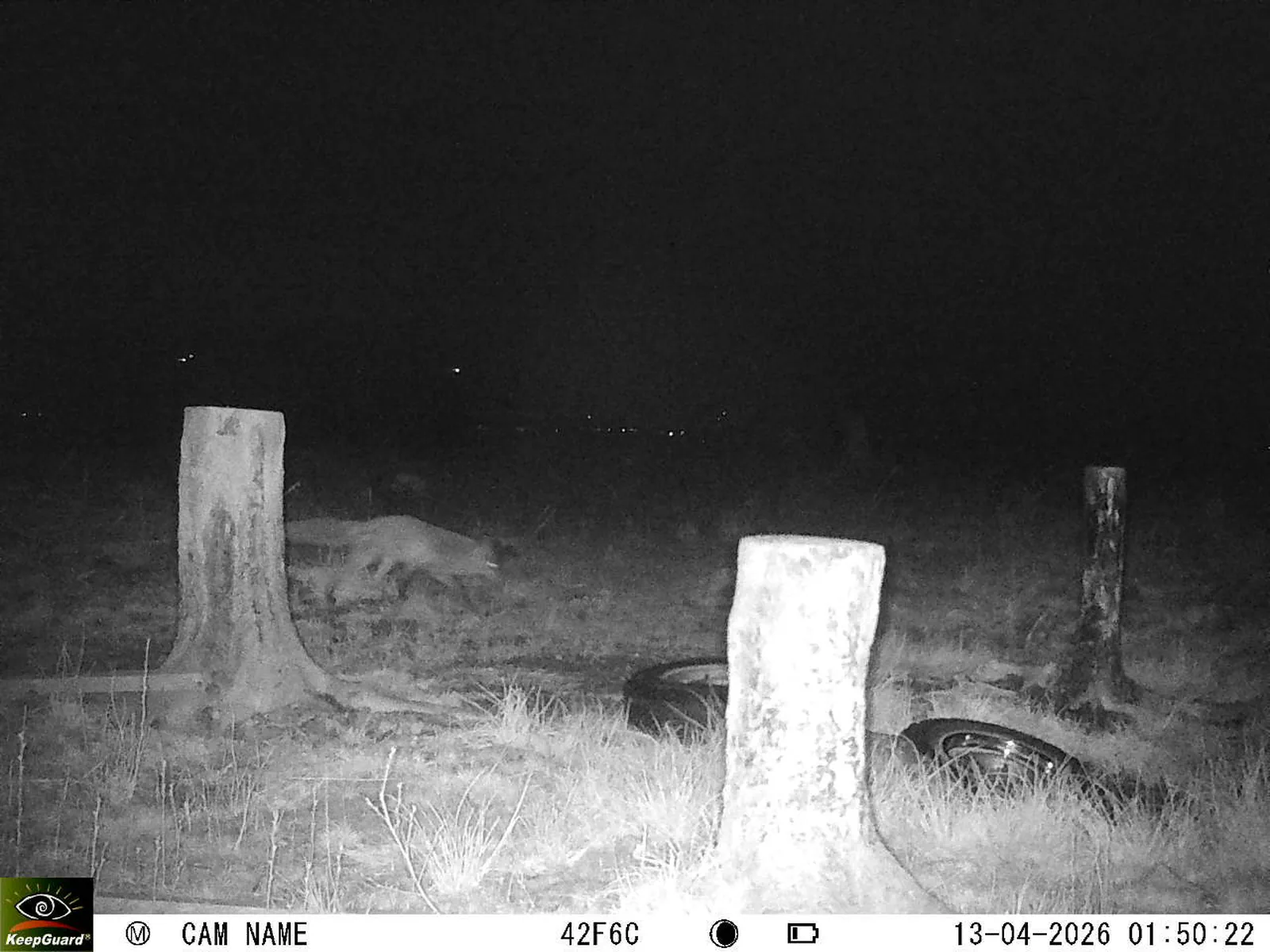 Bild: 1776038087051968268_04130693.webp