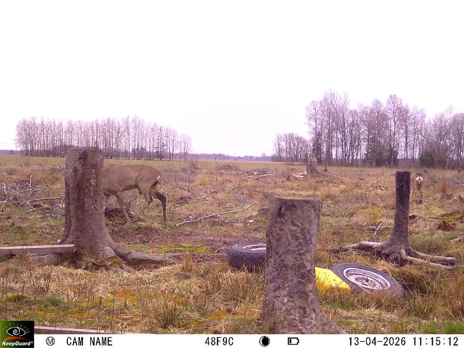 Bild: 1776071978025223519_04130694.webp