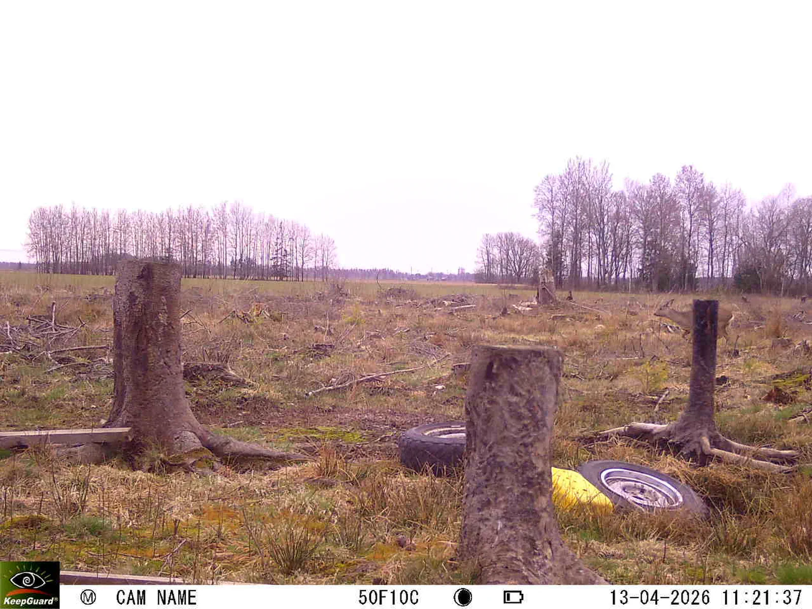 Bild: 1776072363460984464_04130695.webp