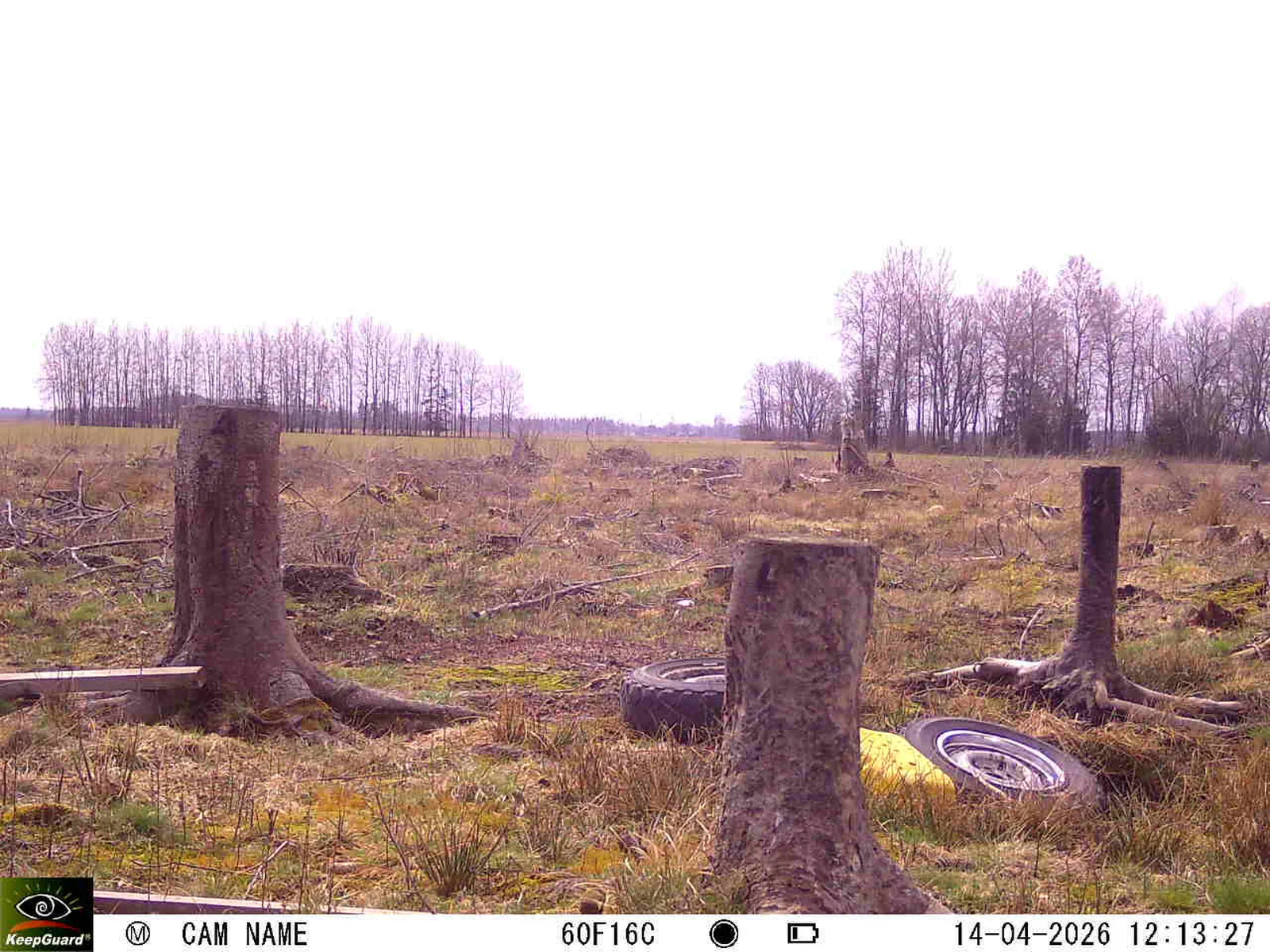 Bild: 1776161875450231819_04140696.webp