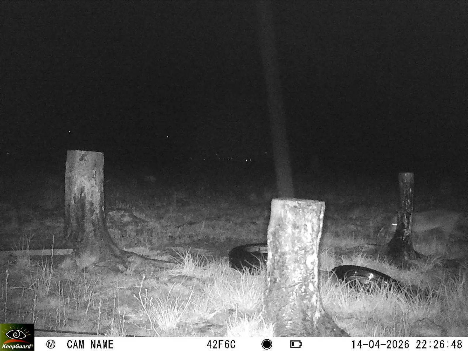 Bild: 1776198675291983183_04140697.webp