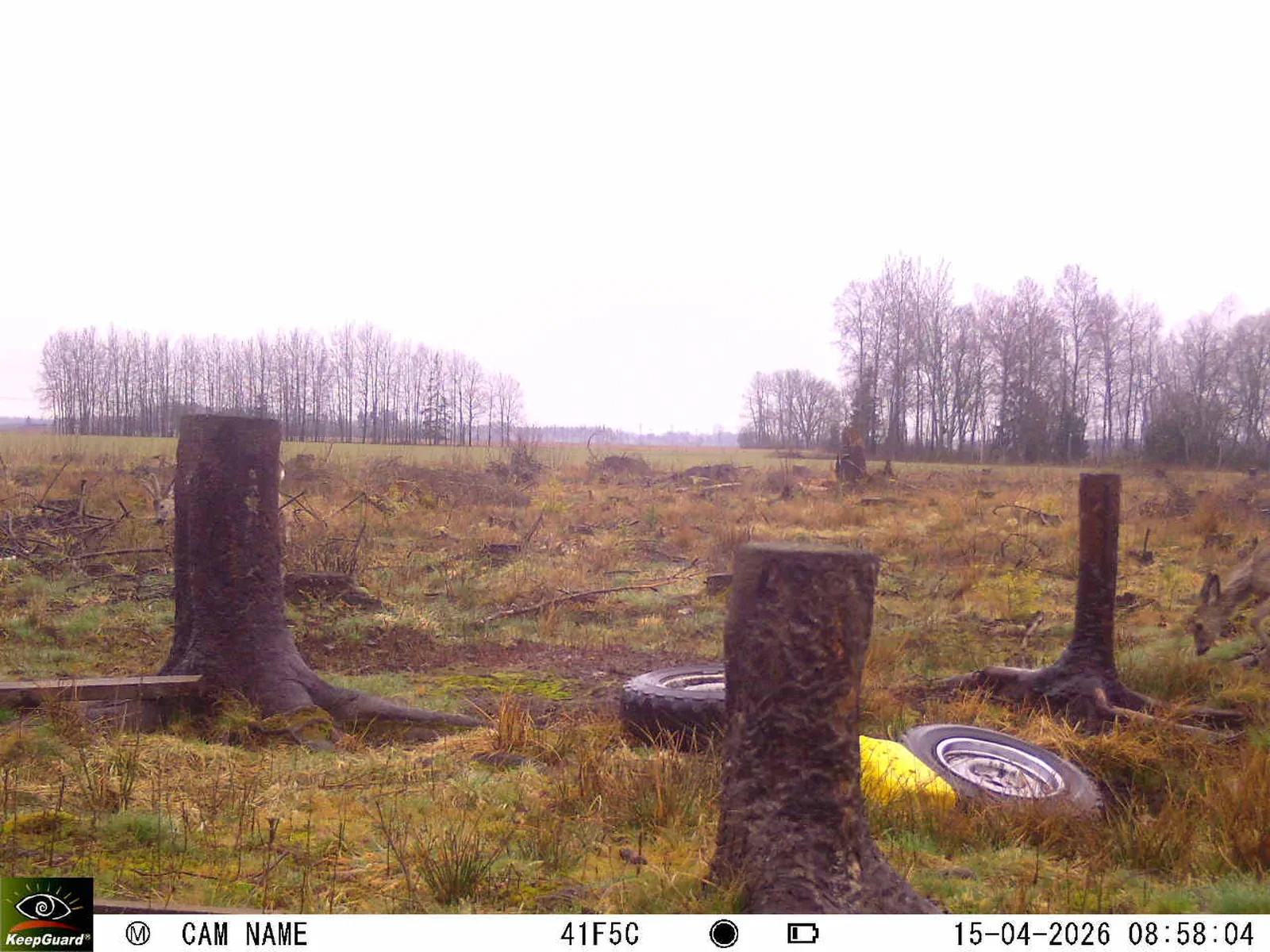 Bild: 1776236552564091646_04150698.webp