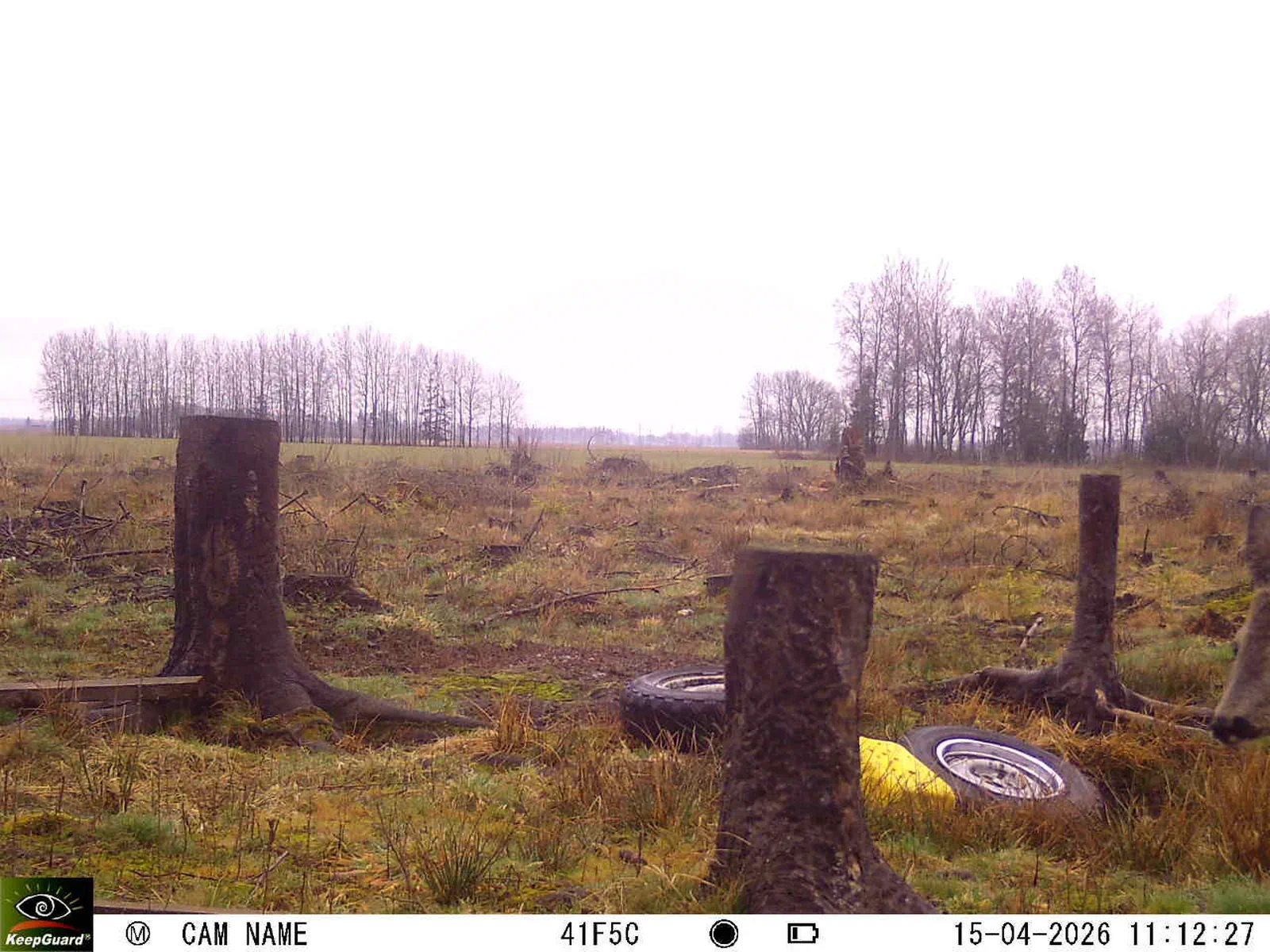 Bild: 1776244614381392676_04150699.webp