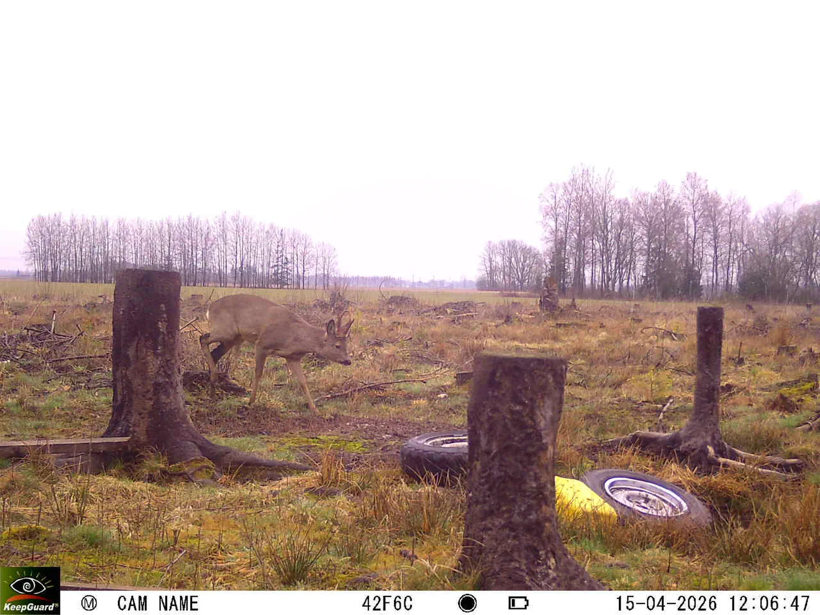 Bild: 1776247878925740736_04150700.webp