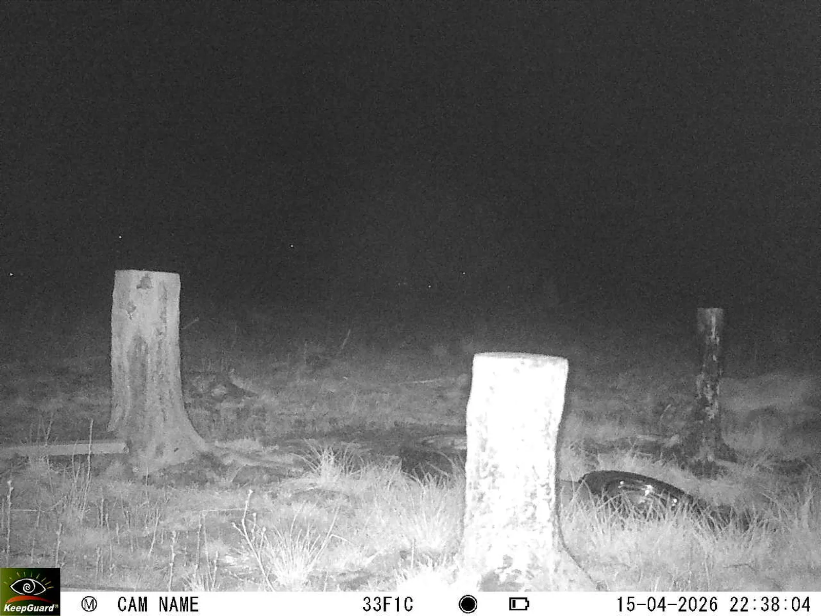 Bild: 1776285751645105879_04150701.webp