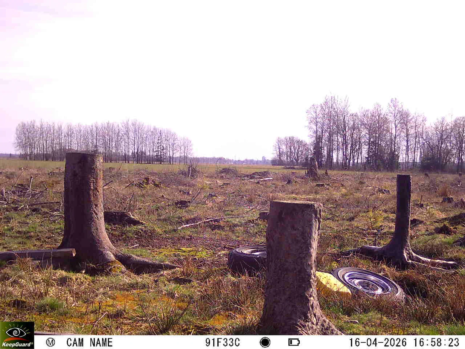 Bild: 1776351783307995150_04160702.webp