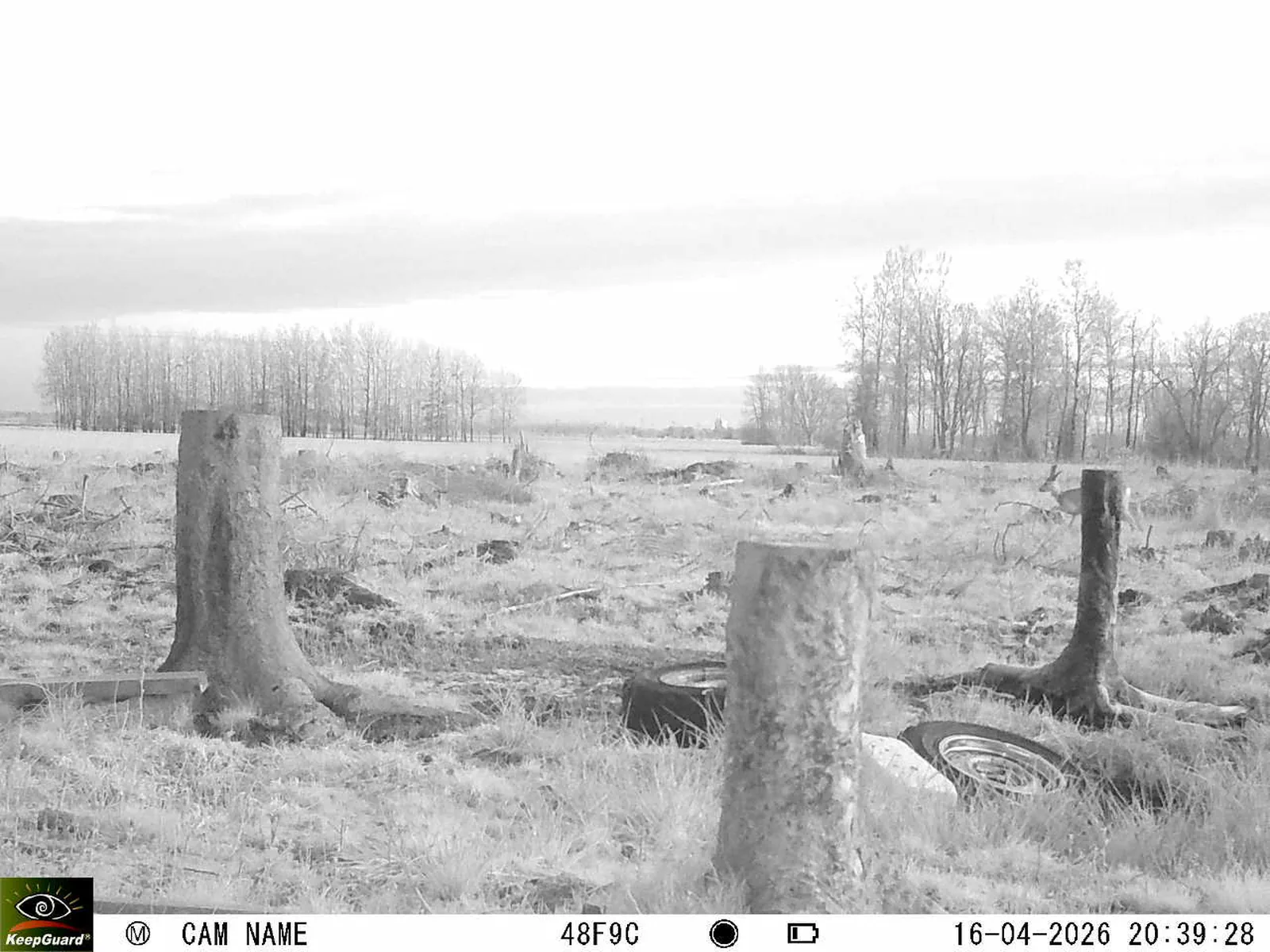 Bild: 1776365036036128153_04160703.webp