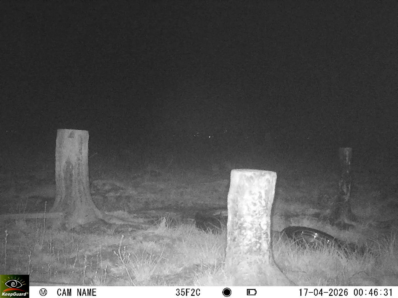 Bild: 1776379859701995202_04170704.webp