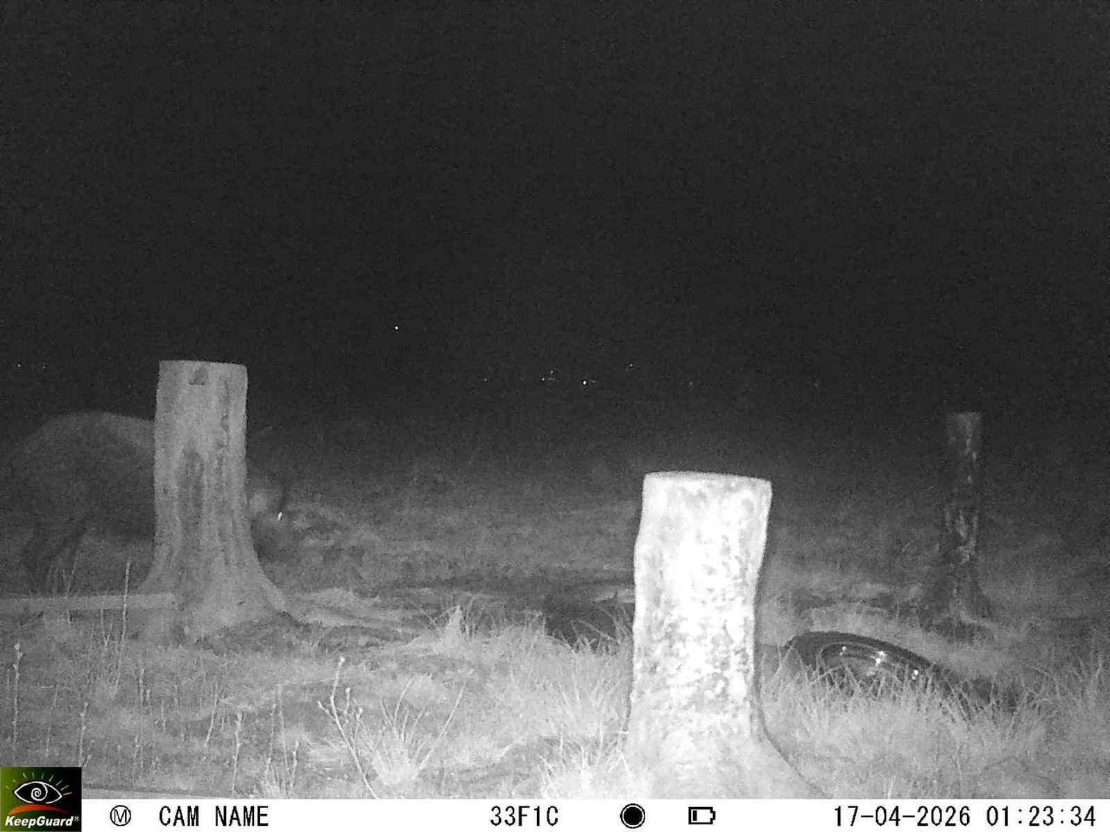 Bild: 1776382082937237001_04170705.webp