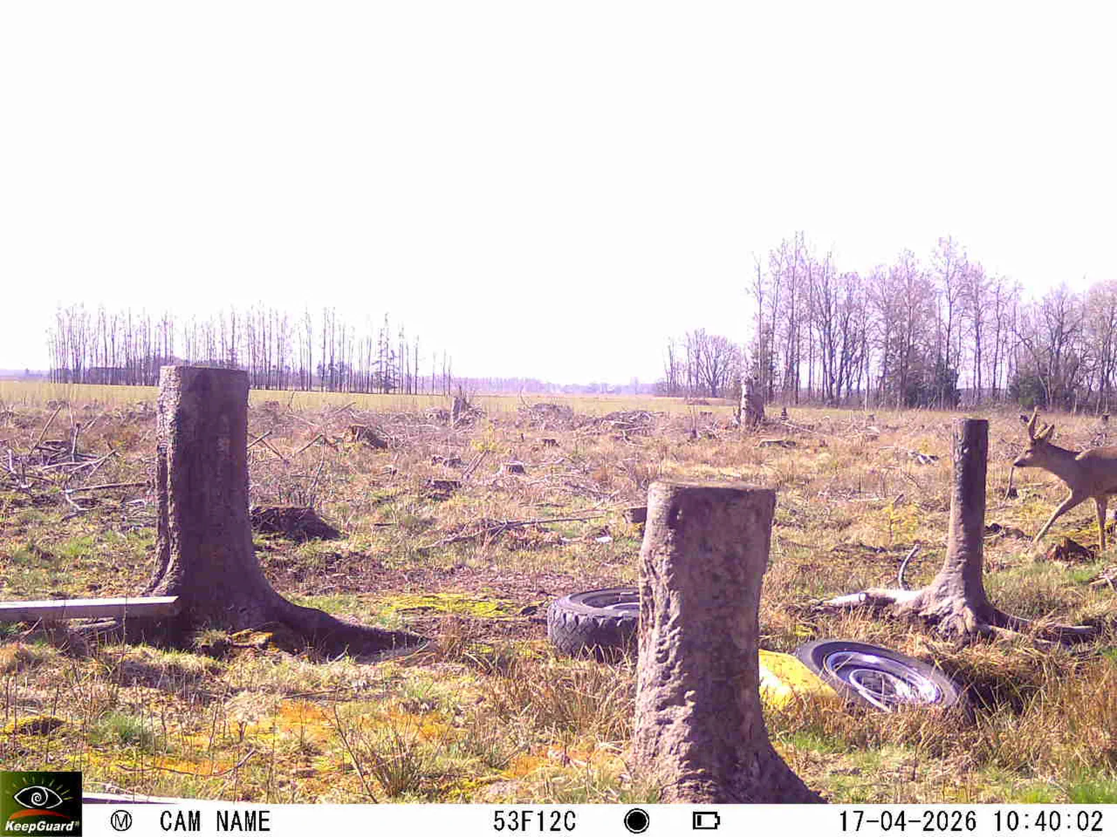 Bild: 1776415480104274161_04170706.webp