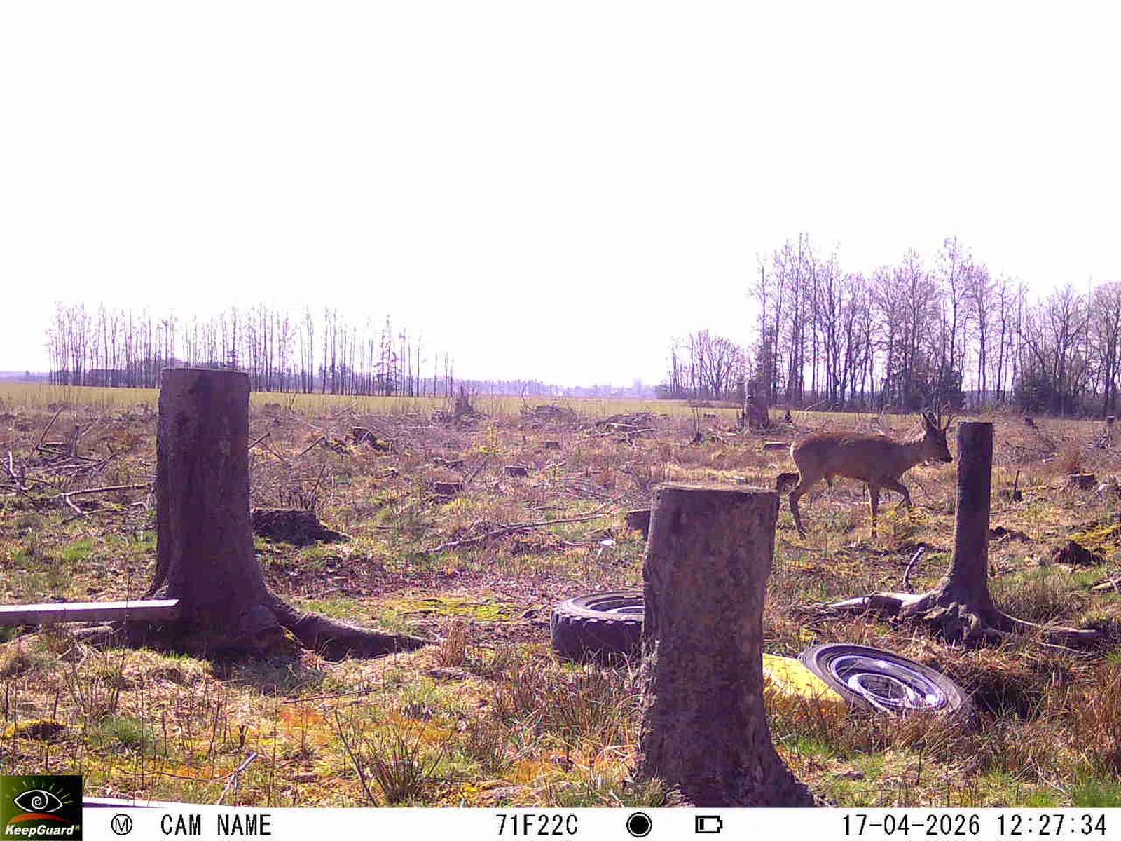 Bild: 1776421923762689298_04170707.webp