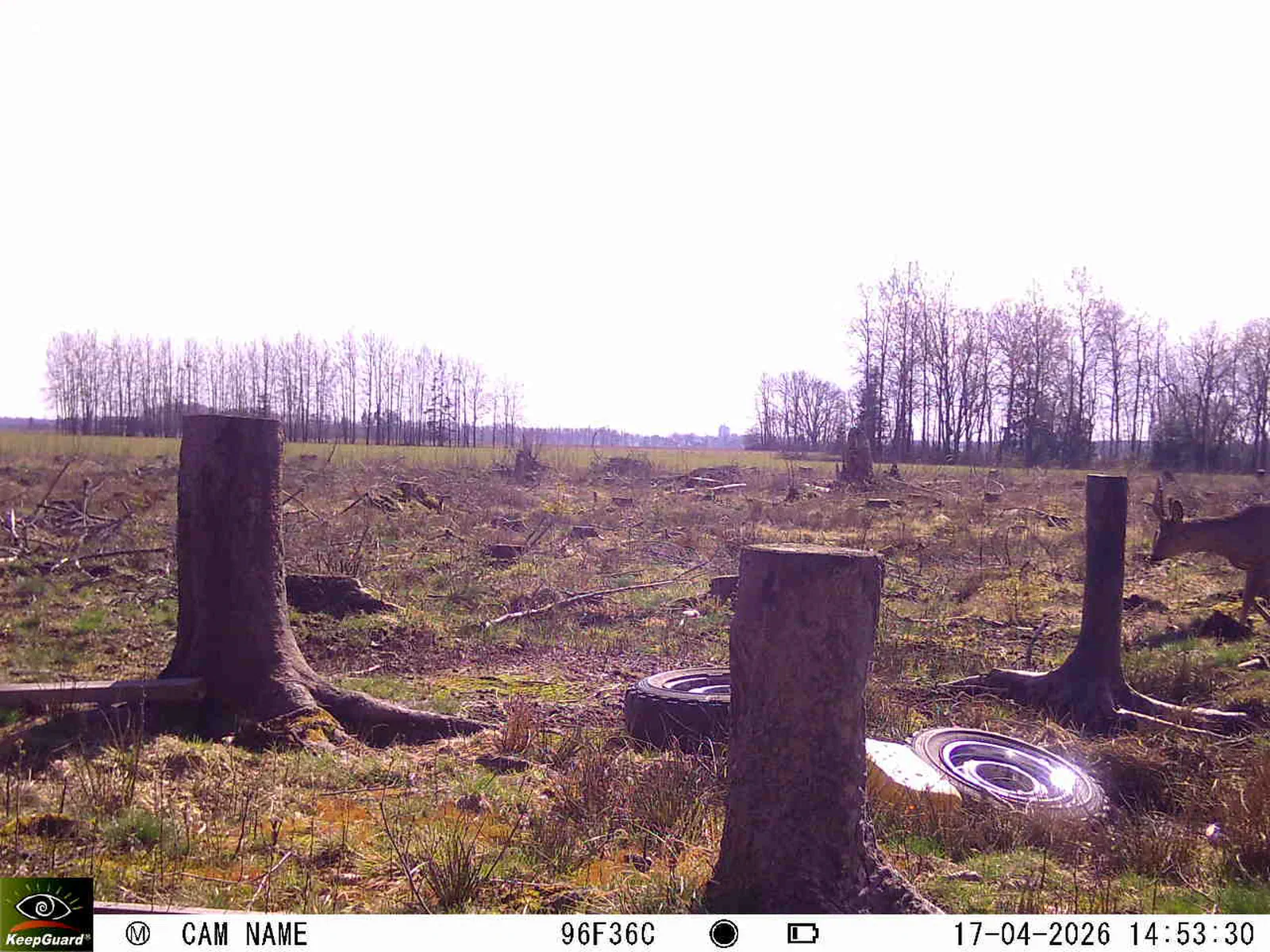 Bild: 1776430683729147030_04170708.webp