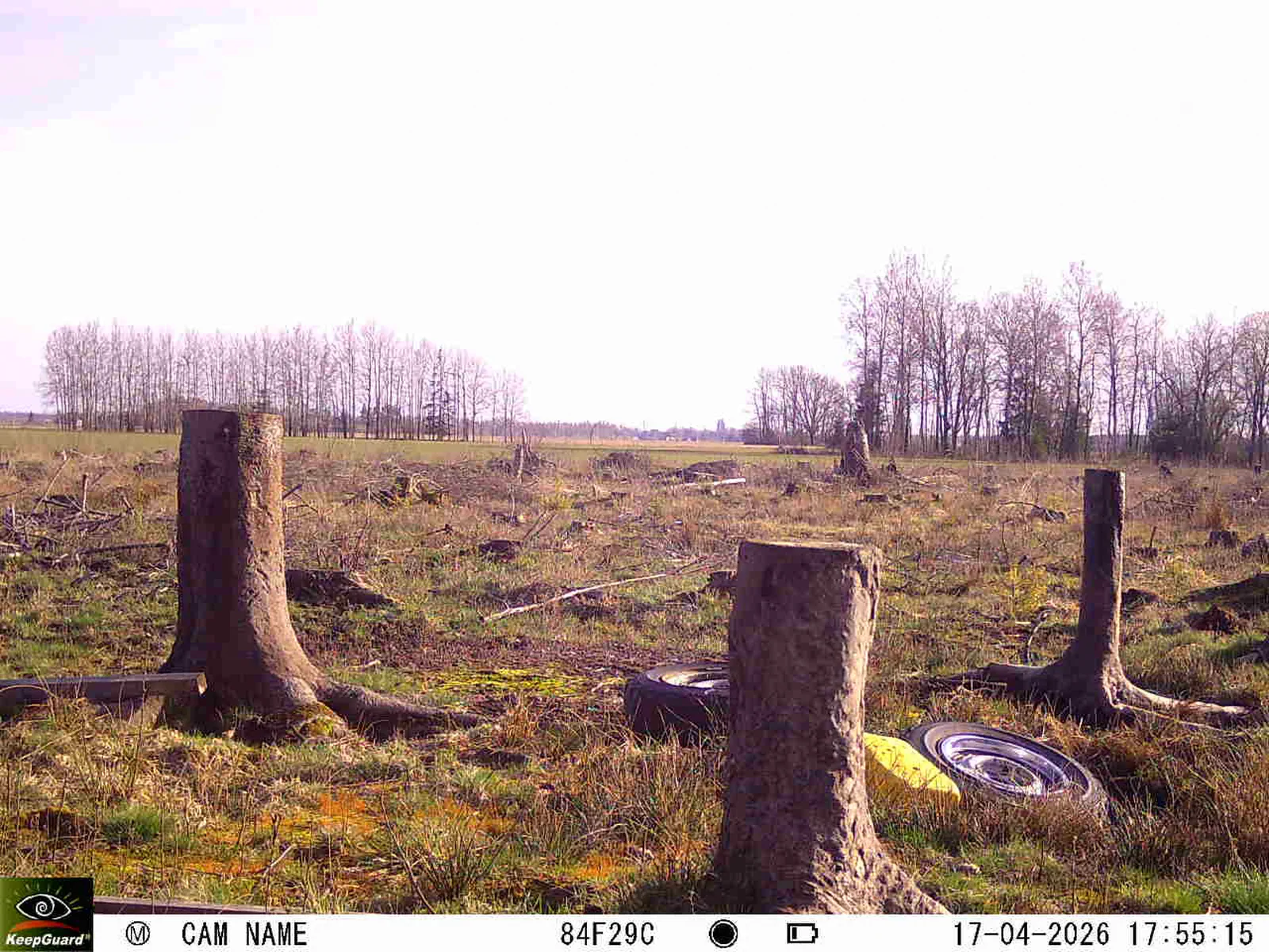 Bild: 1776441583724721770_04170709.webp