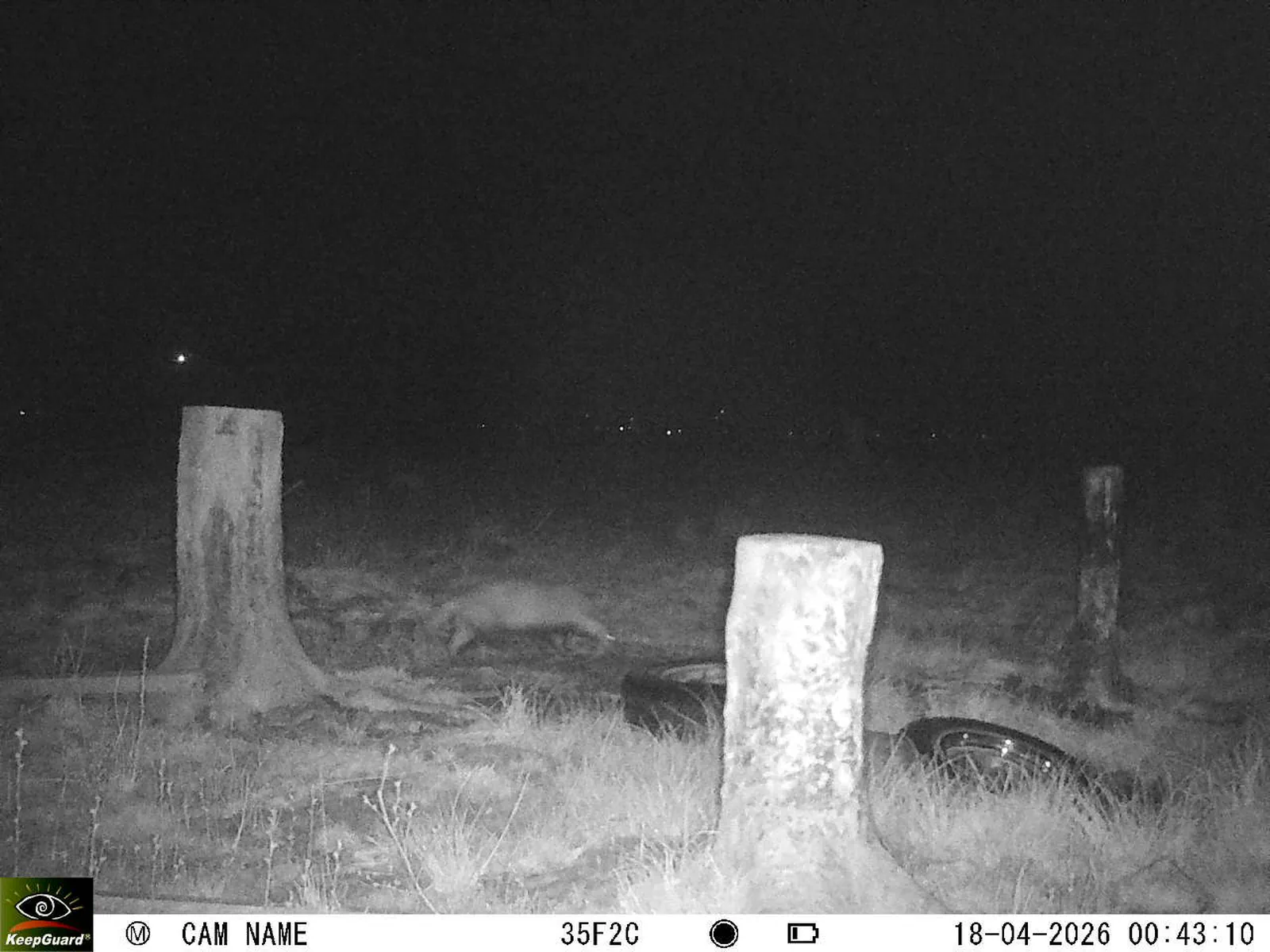 Bild: 1776466059421034249_04180710.webp