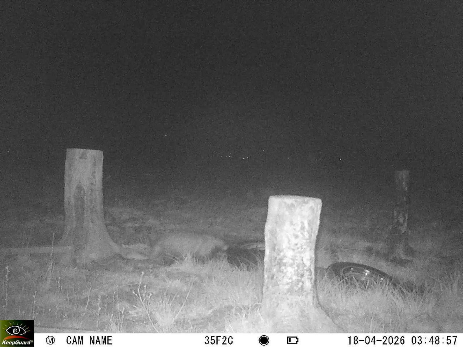 Bild: 1776477207297446268_04180711.webp