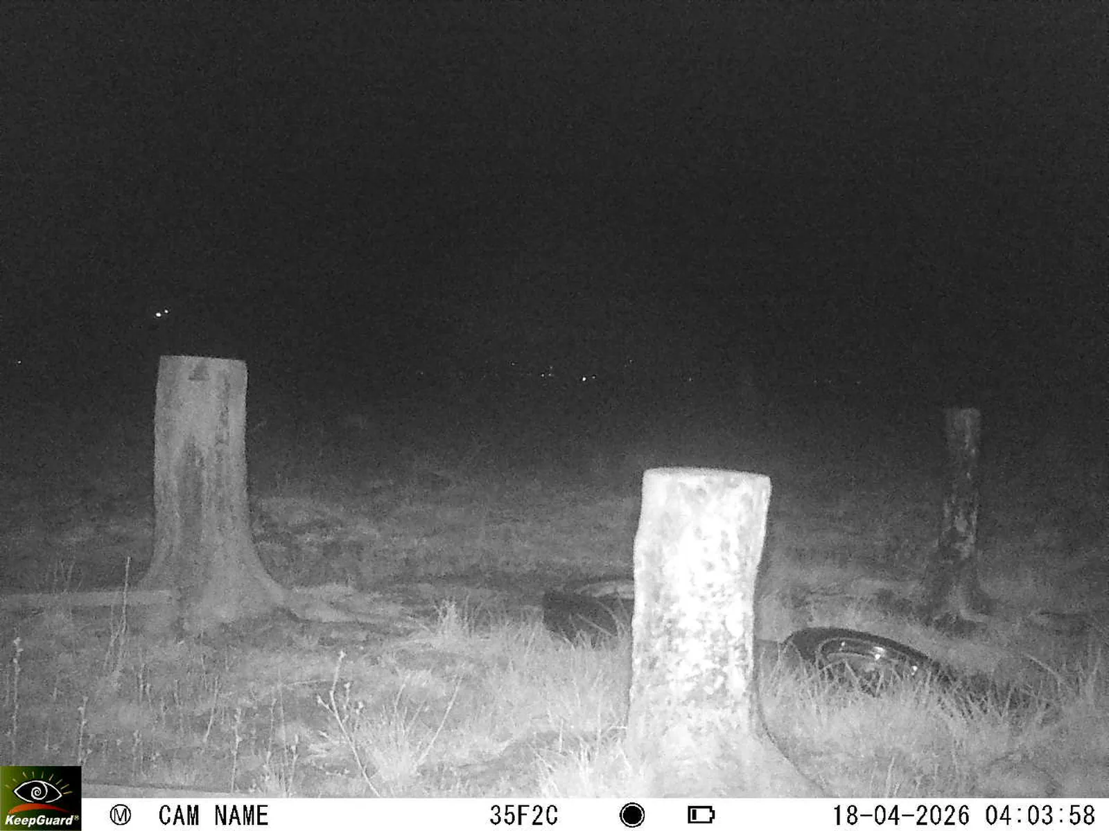 Bild: 1776478106999678436_04180712.webp