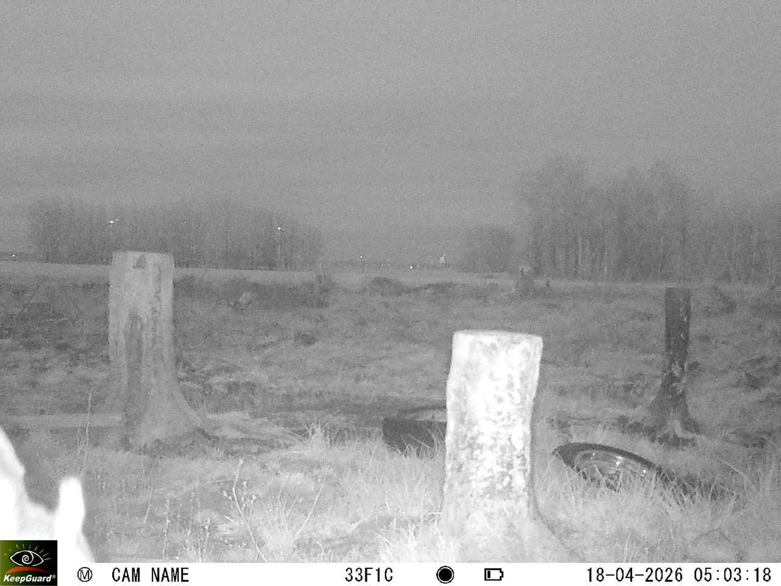 Bild: 1776481667341280698_04180713.webp