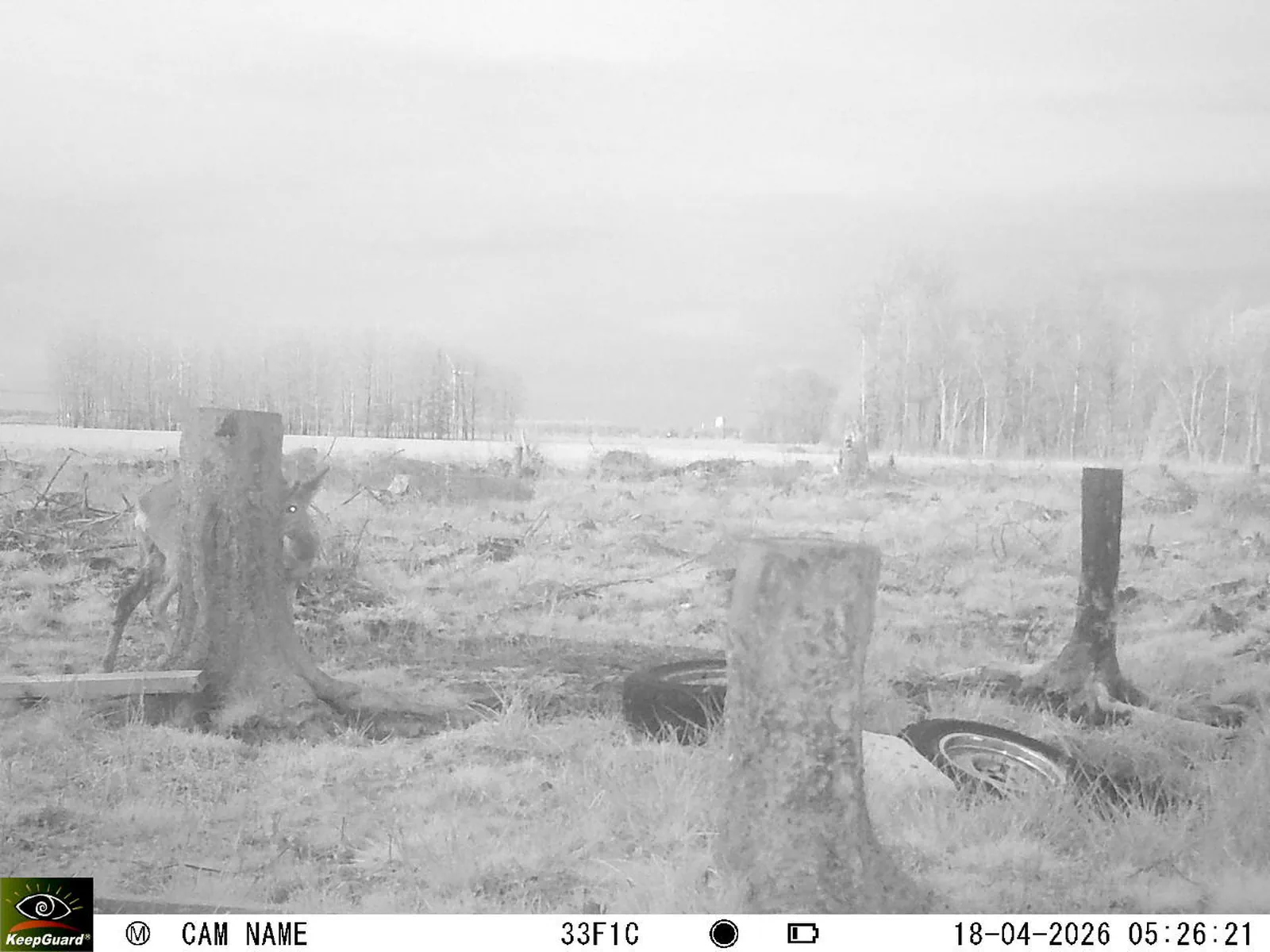 Bild: 1776483049870727841_04180714.webp