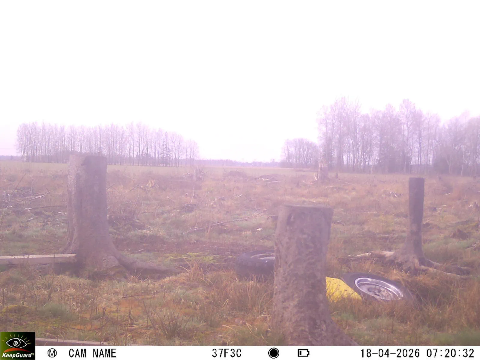 Bild: 1776489901953526487_04180715.webp