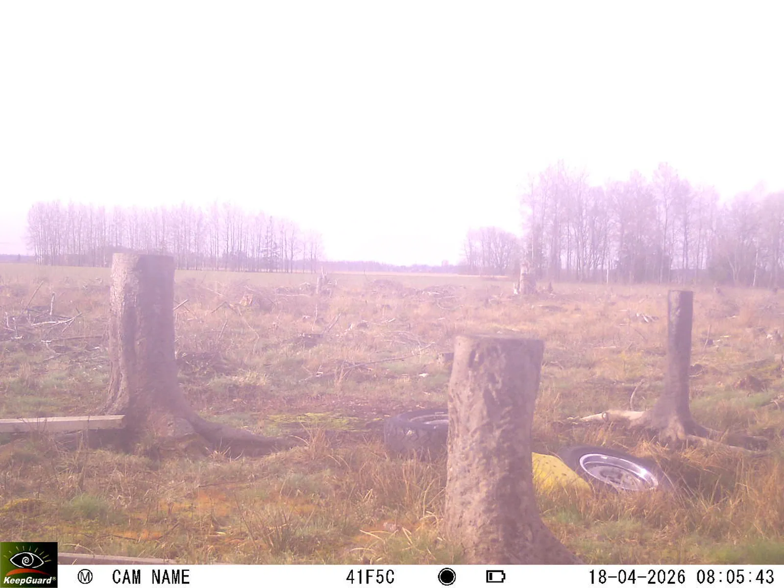 Bild: 1776492611160884181_04180716.webp