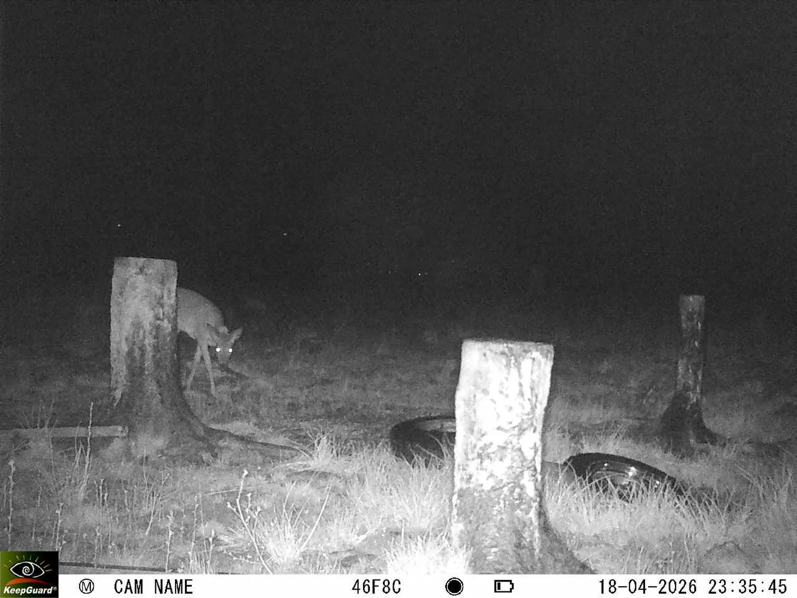 Bild: 1776548415352678193_04180718.webp