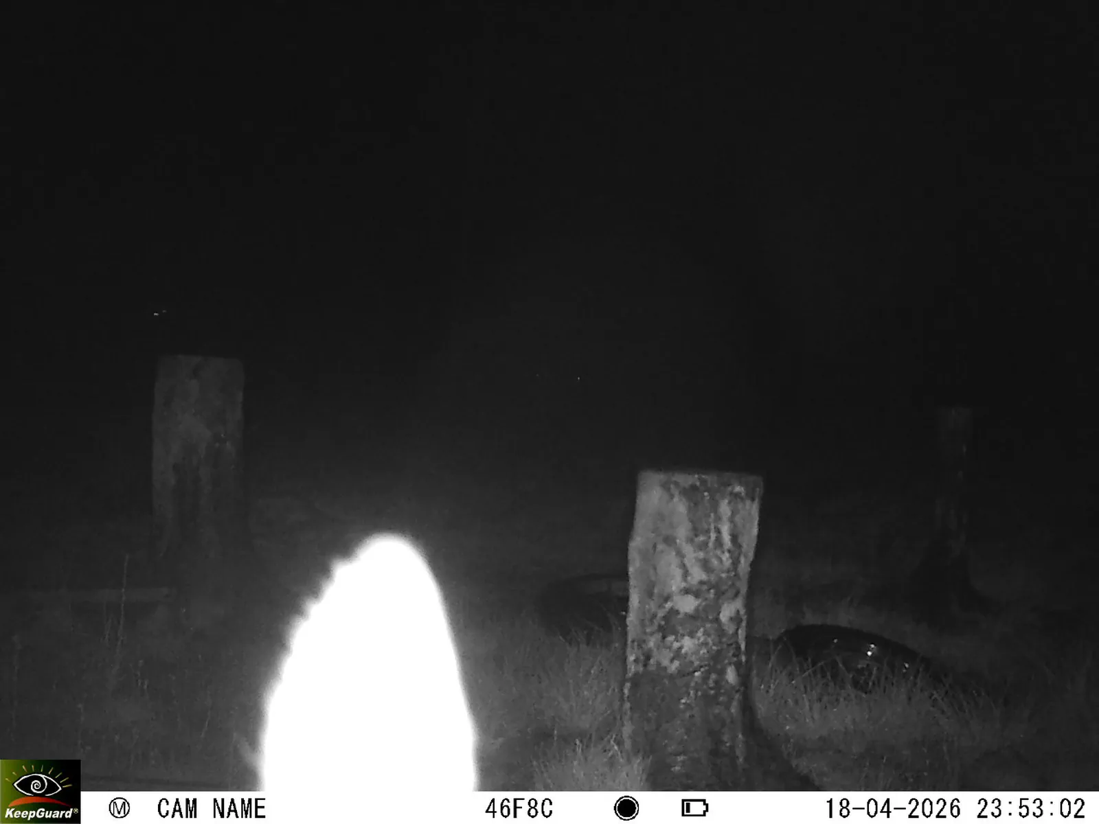 Bild: 1776549452520671692_04180719.webp