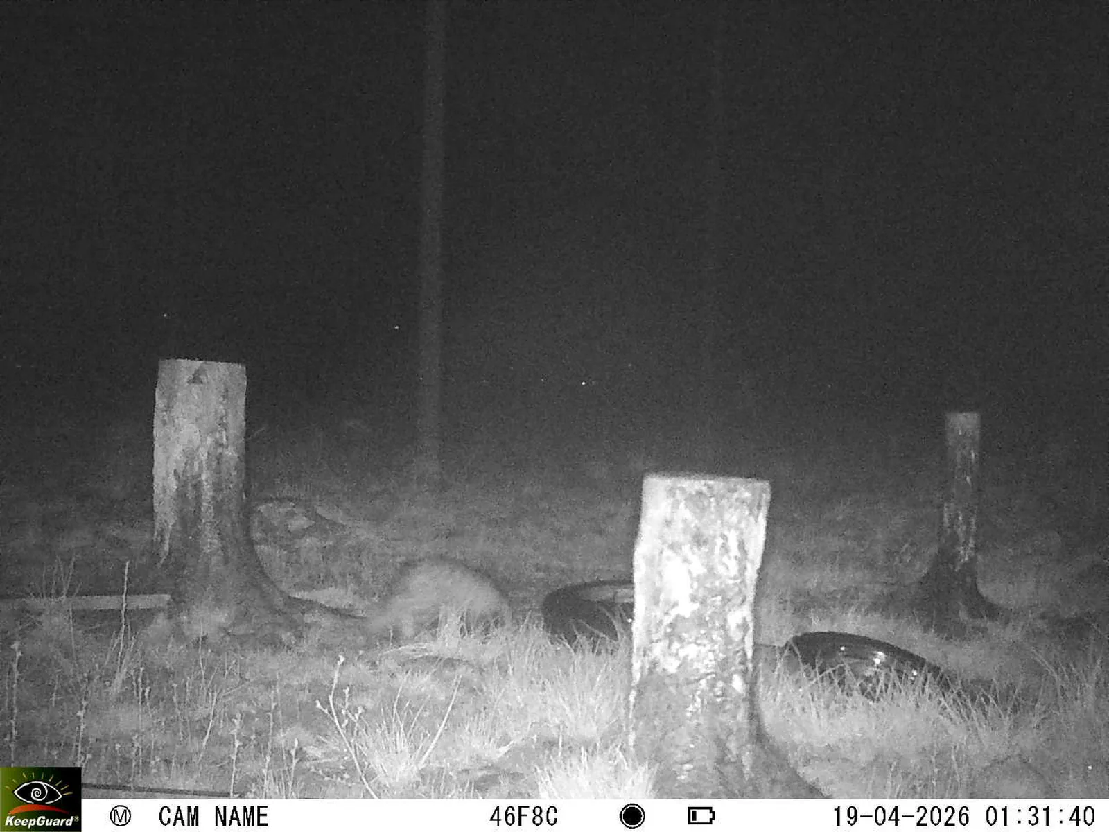 Bild: 1776555370466922697_04190720.webp