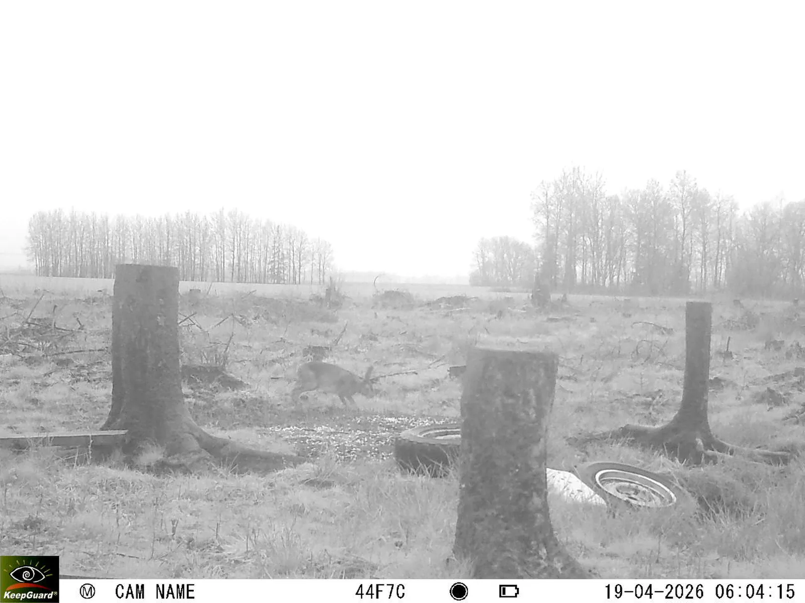 Bild: 1776571725172750657_04190721.webp