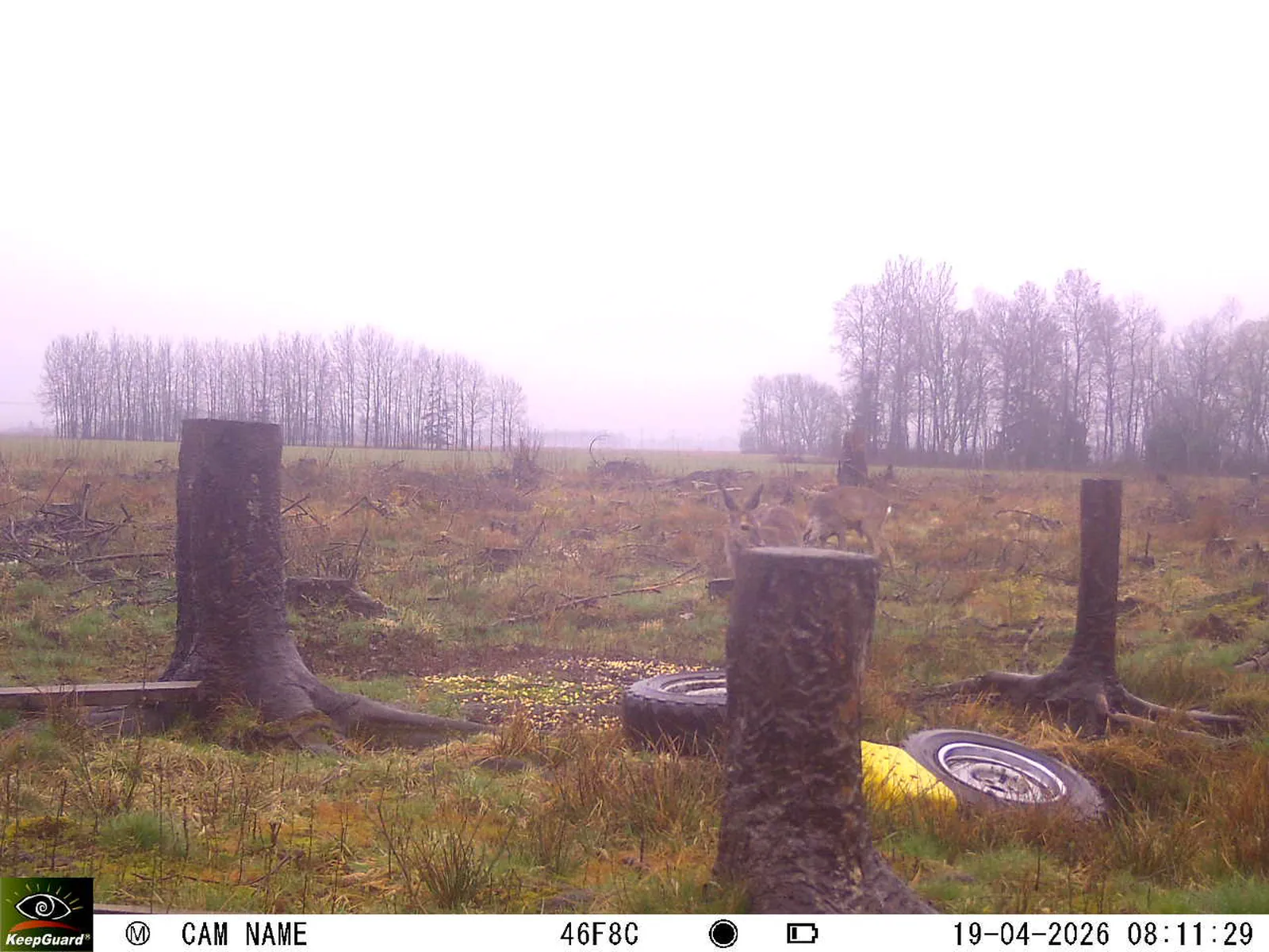 Bild: 1776579360202073103_04190722.webp