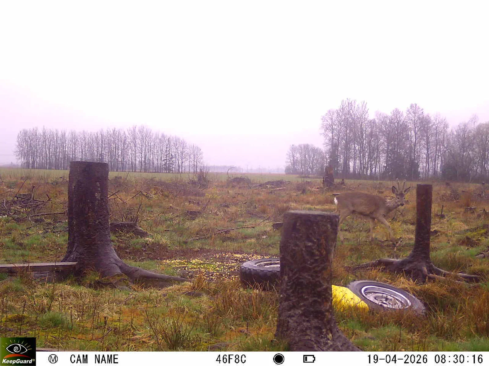 Bild: 1776580485180100594_04190724.webp