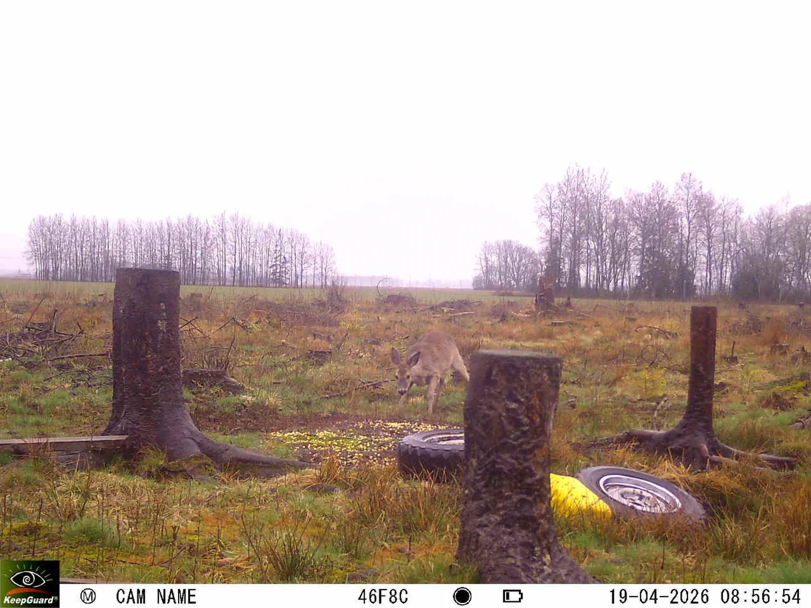 Bild: 1776582083741915967_04190725.webp