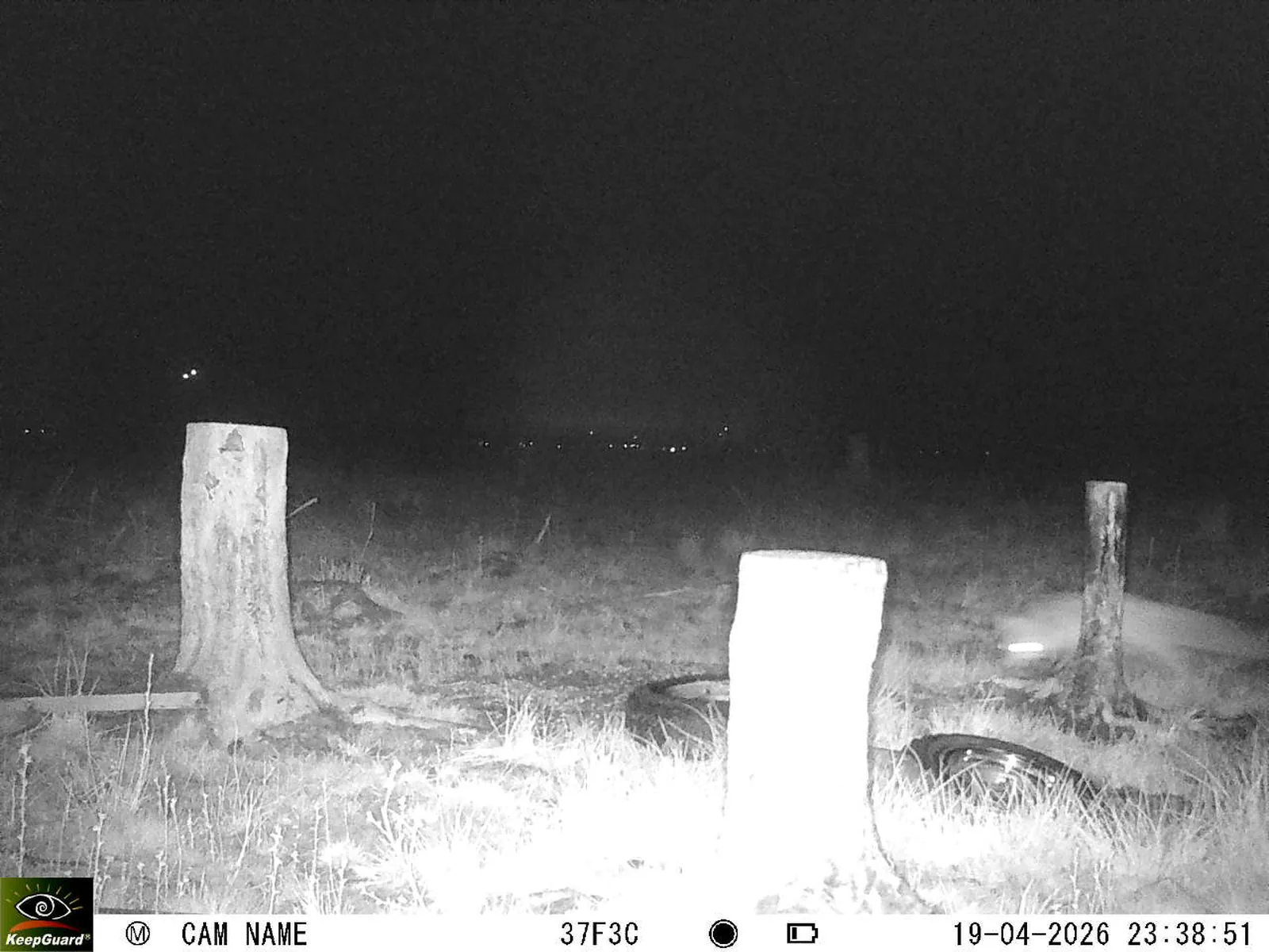 Bild: 1776635002408974397_04190726.webp