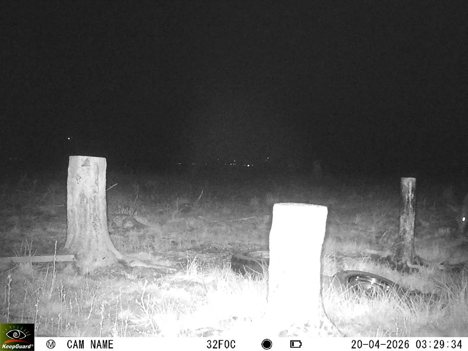 Bild: 1776648843553167809_04200727.webp