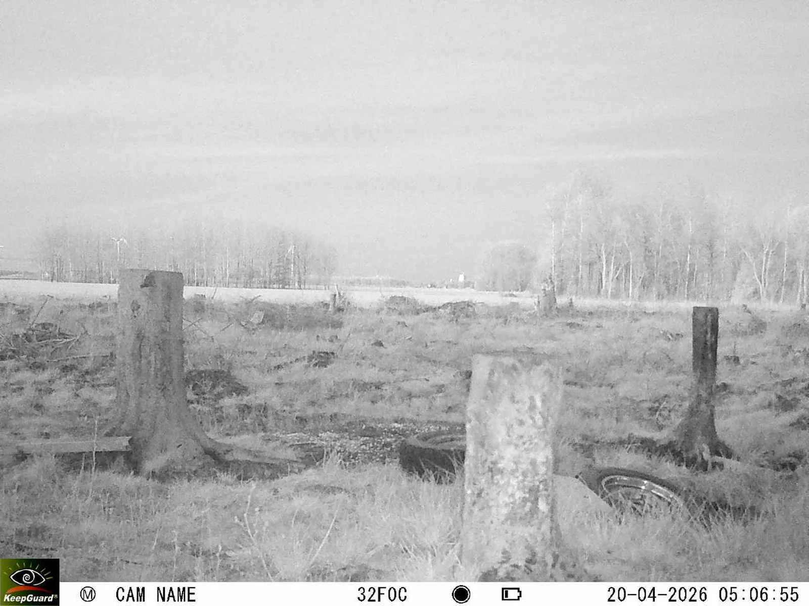 Bild: 1776654686841190796_04200728.webp