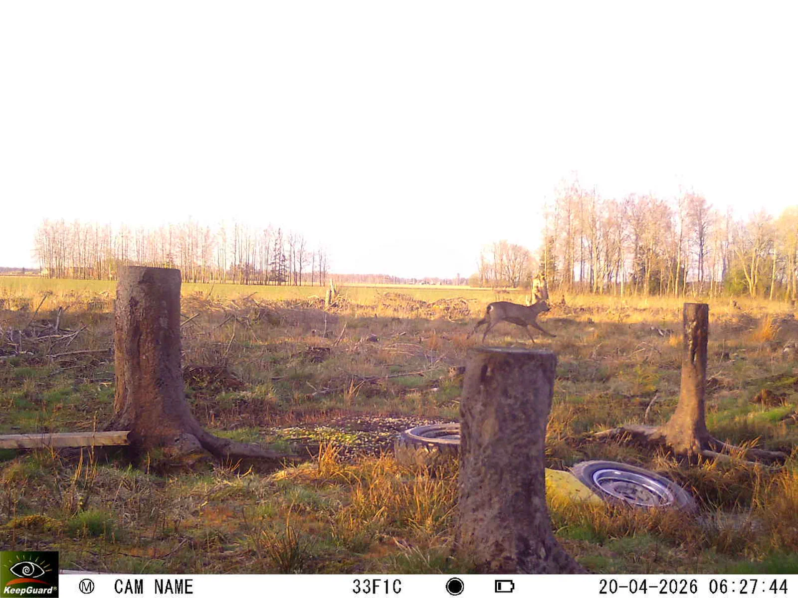 Bild: 1776659534776309616_04200729.webp