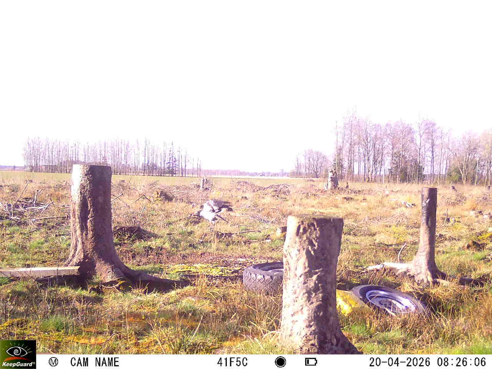 Bild: 1776666640030368253_04200730.webp