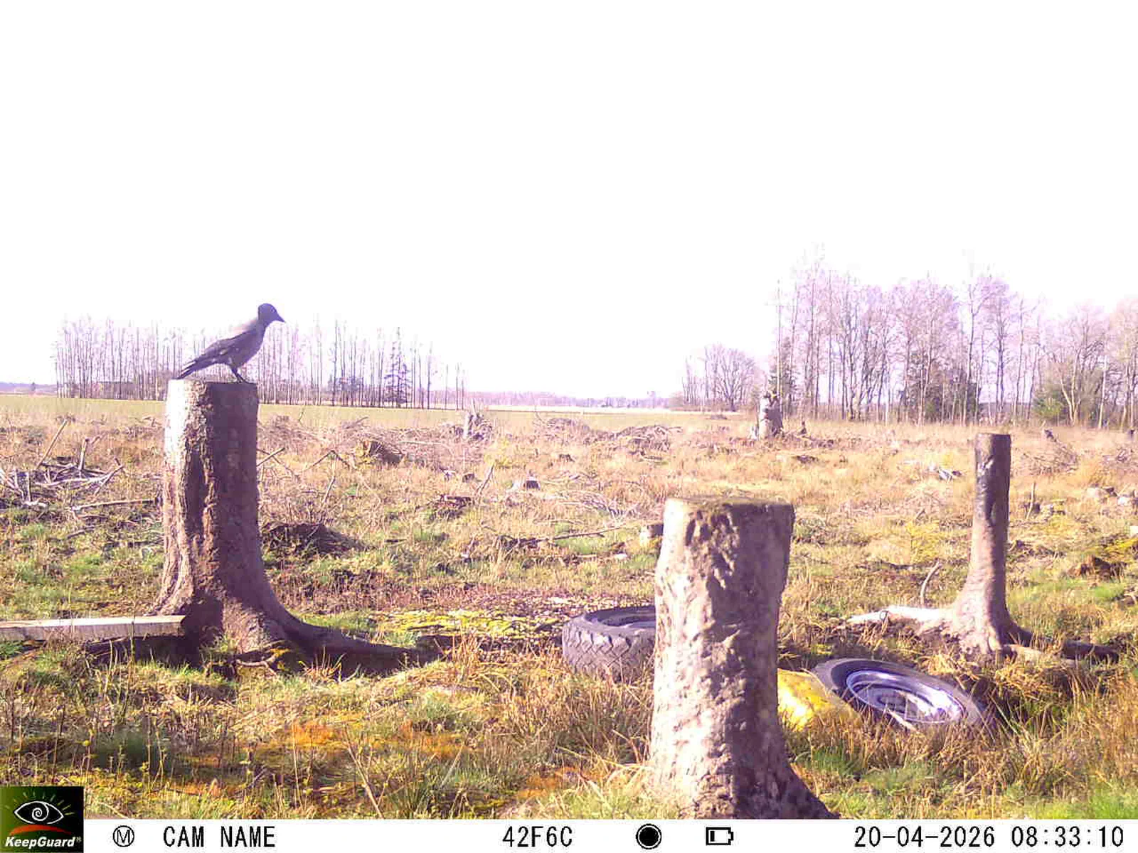 Bild: 1776667059032270762_04200731.webp