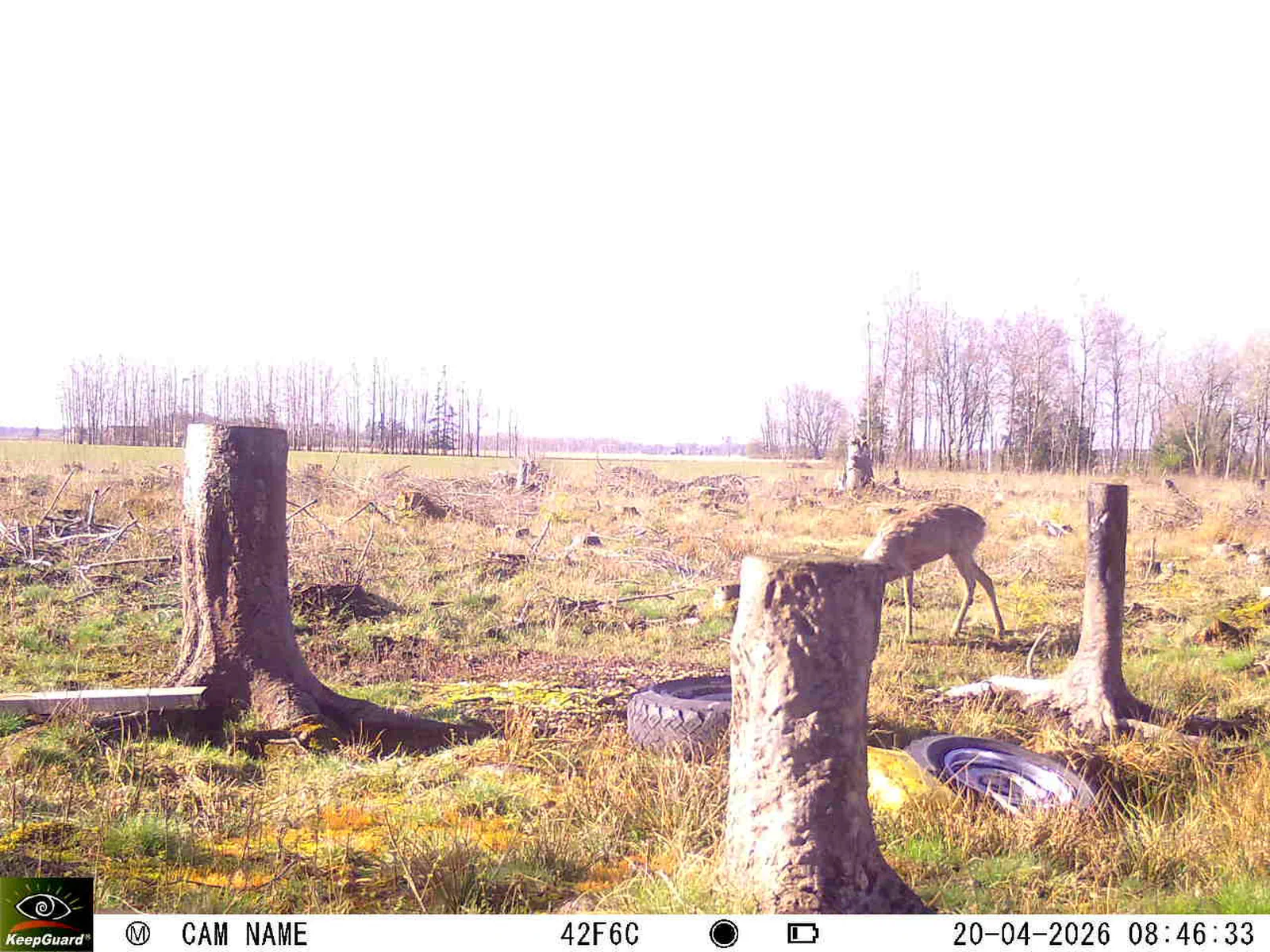 Bild: 1776667864358628290_04200732.webp