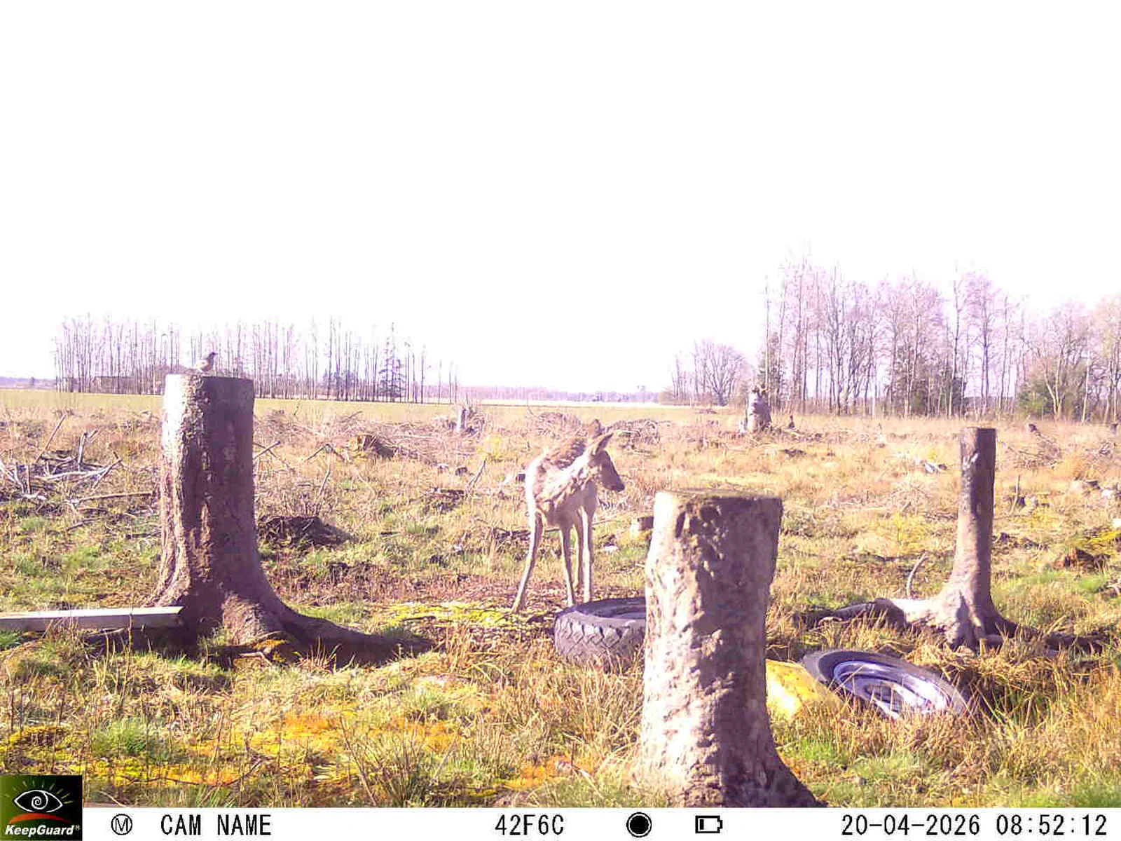 Bild: 1776668201982339296_04200733.webp