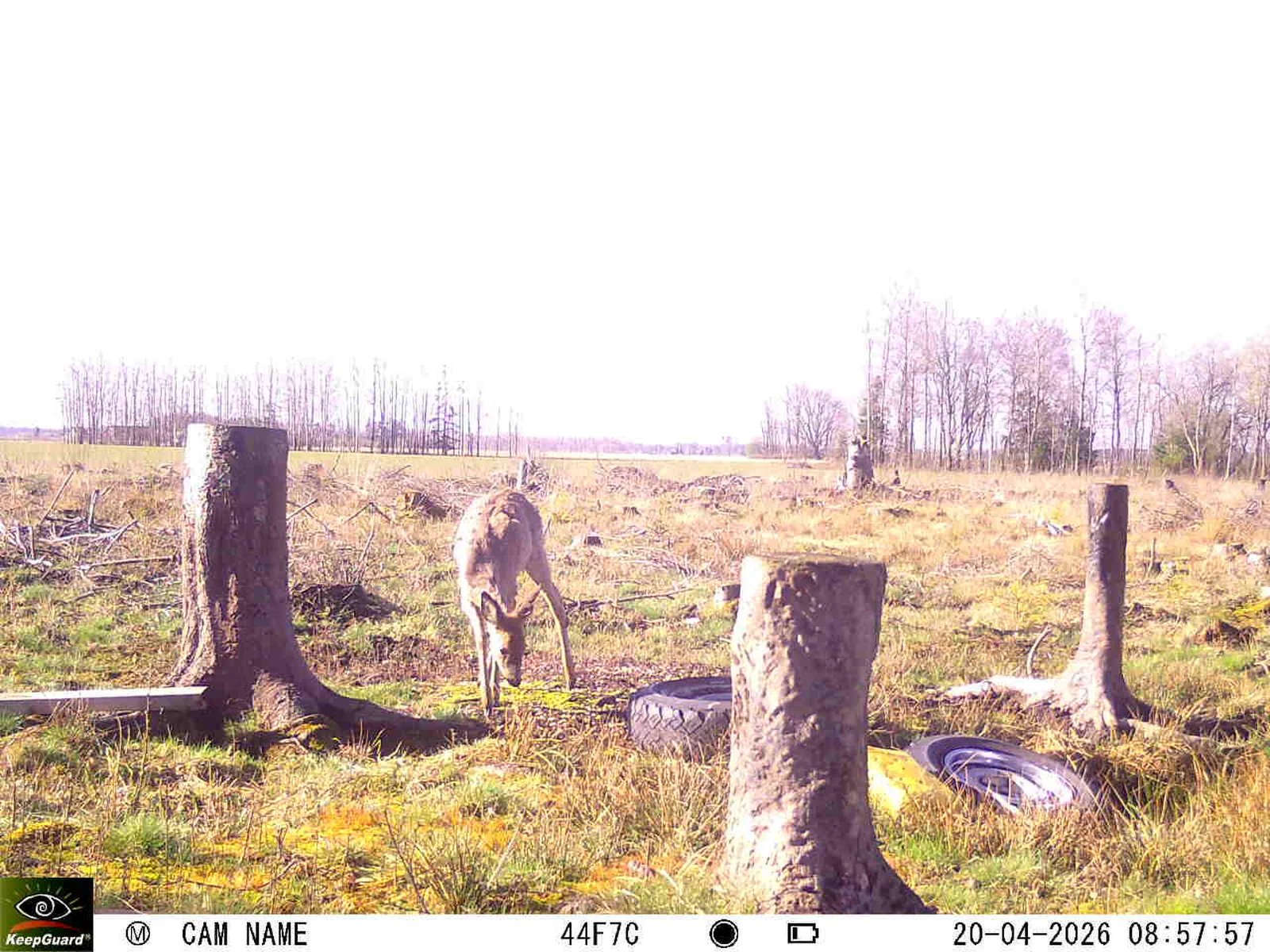 Bild: 1776668546197453146_04200734.webp