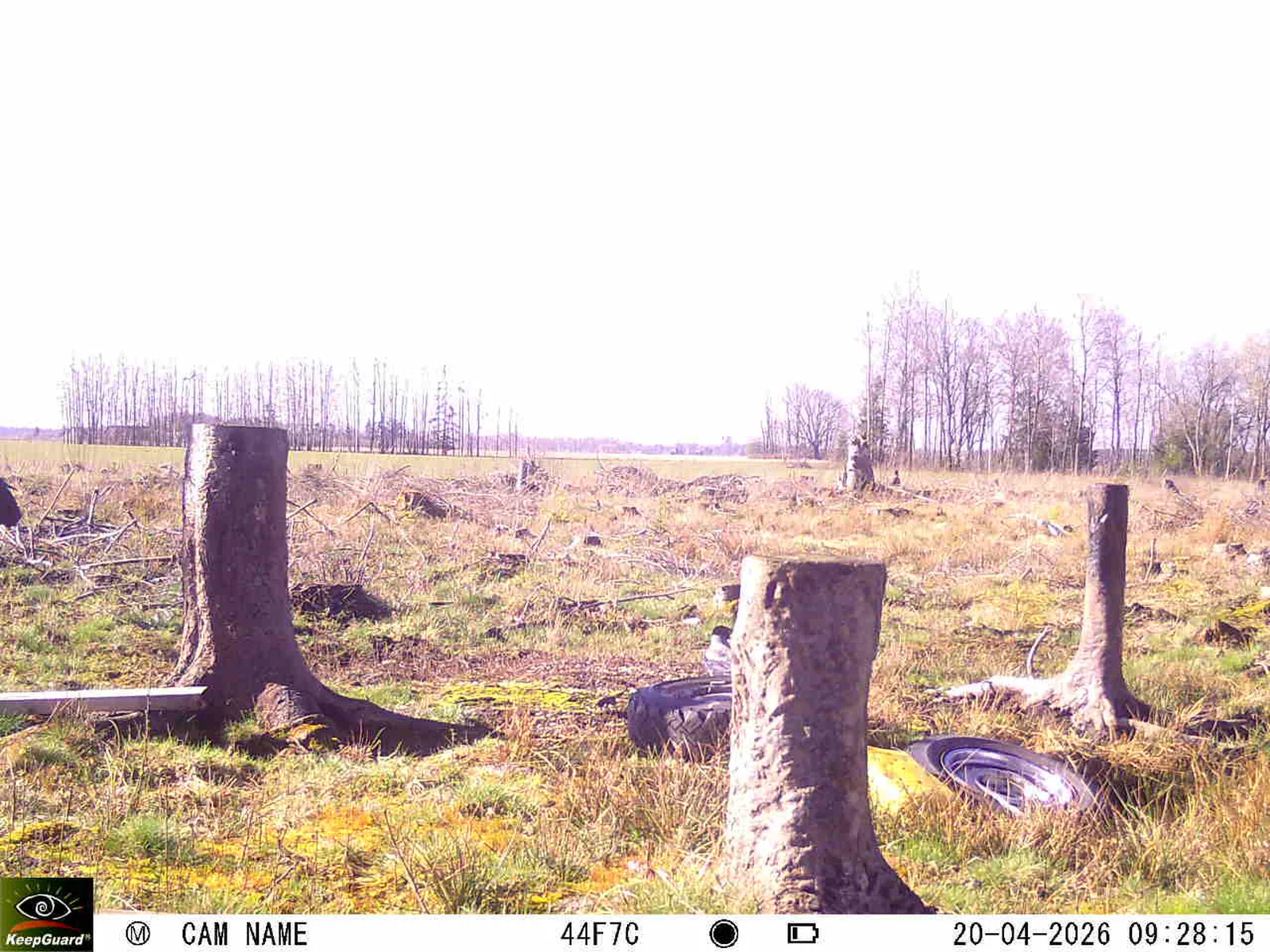 Bild: 1776670364995133210_04200736.webp