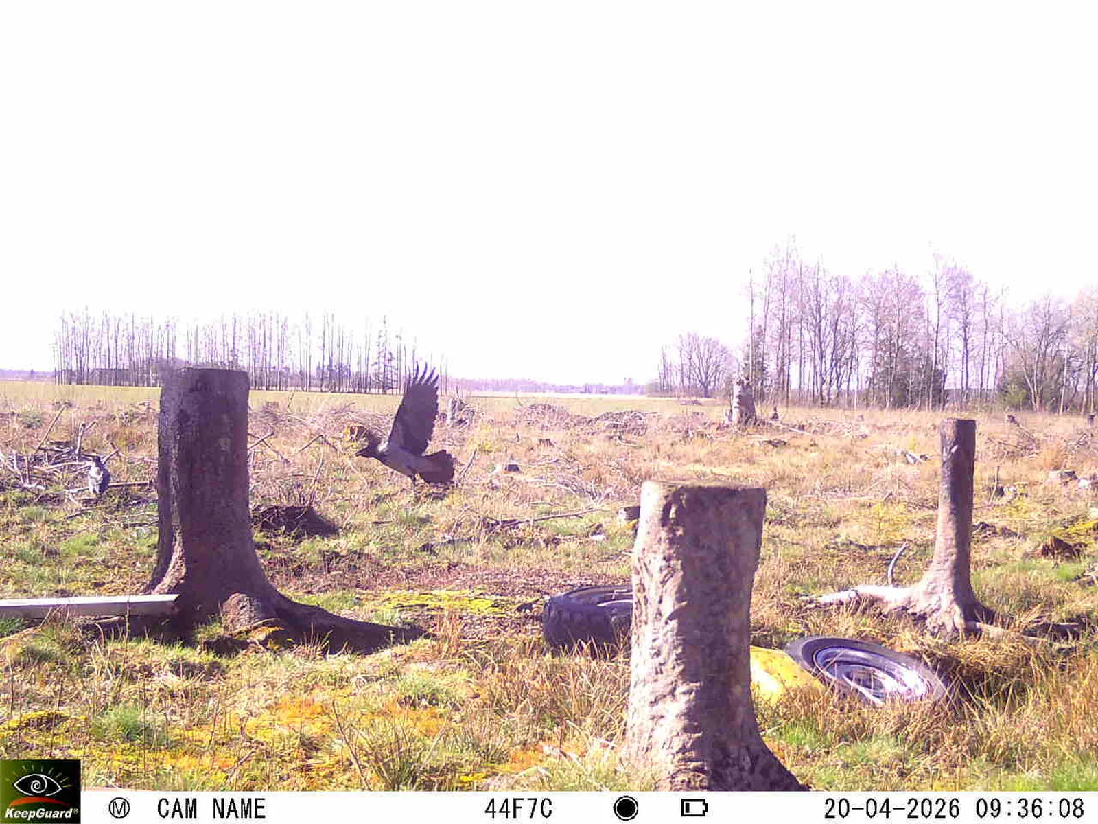 Bild: 1776670839228457823_04200737.webp