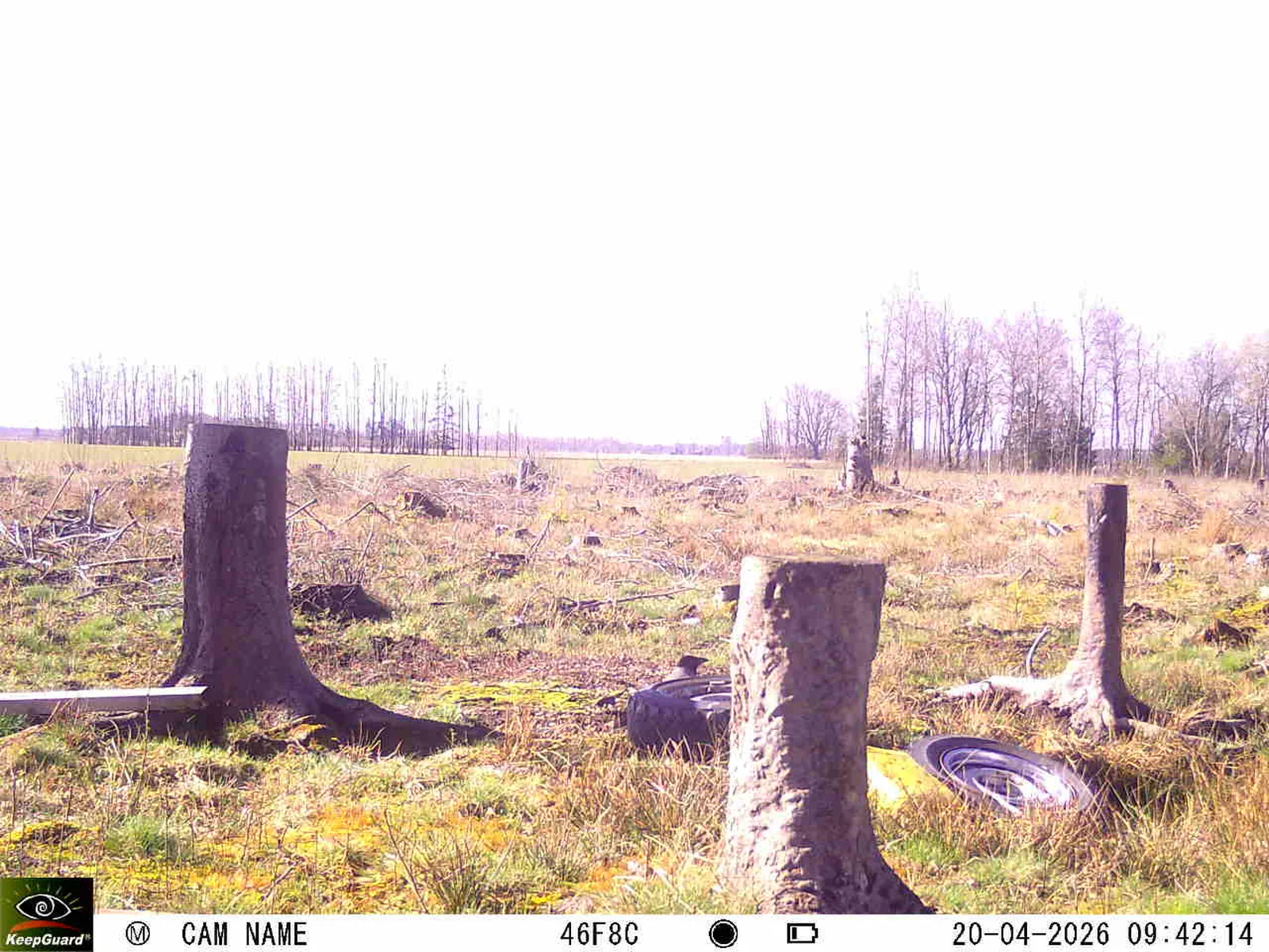 Bild: 1776671204691980580_04200738.webp