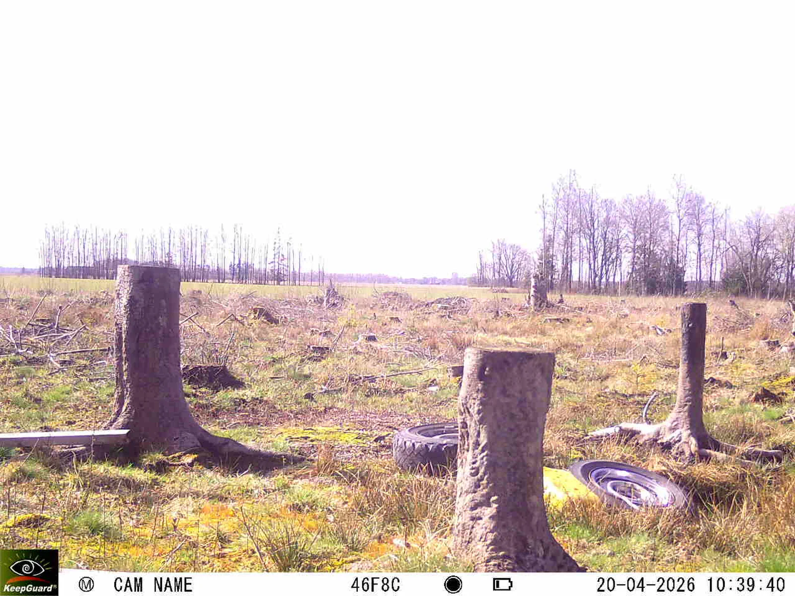 Bild: 1776674651407710631_04200740.webp