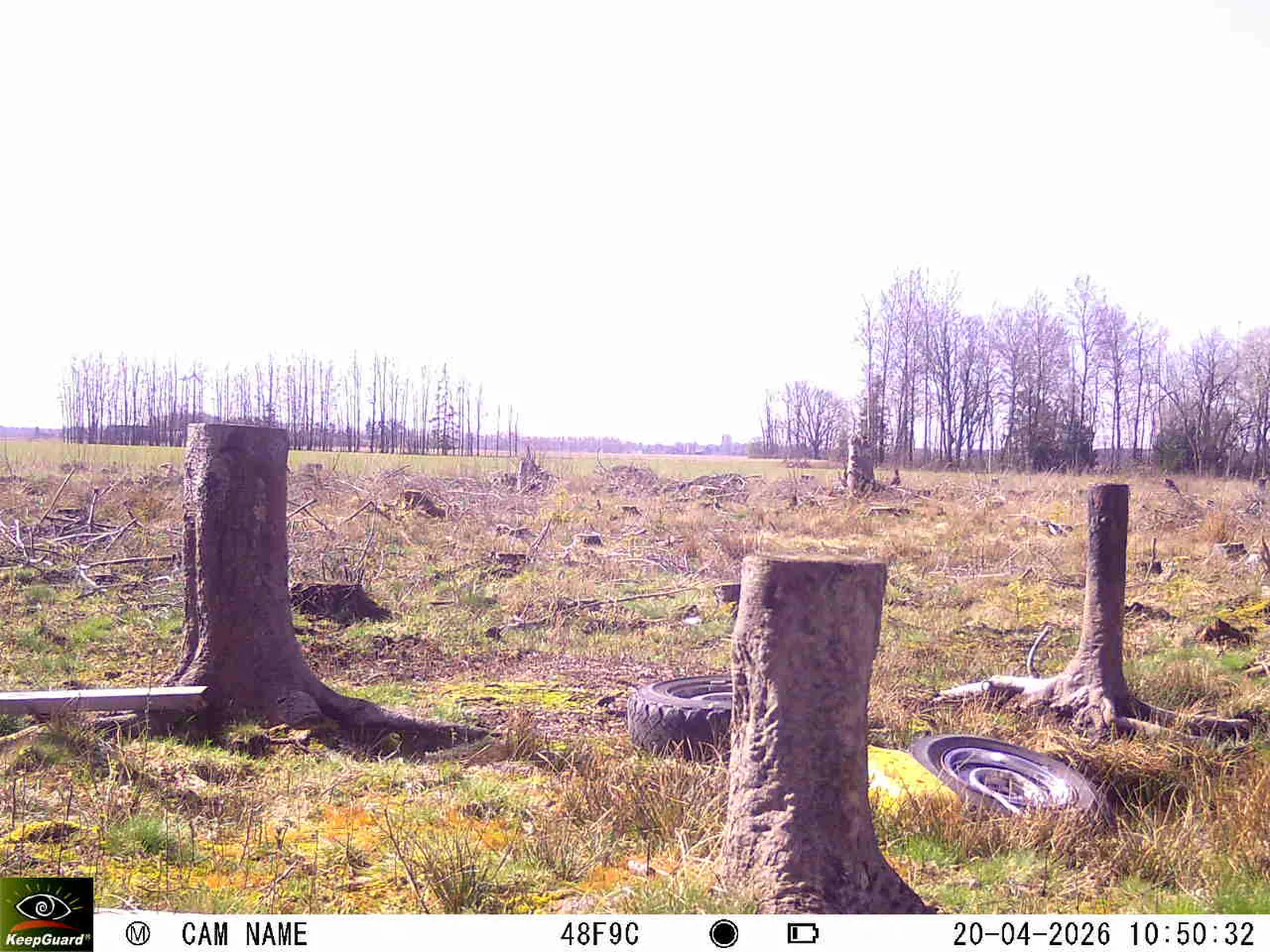 Bild: 1776675303240126301_04200741.webp