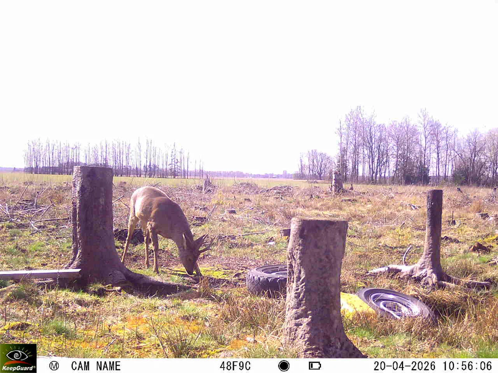 Bild: 1776675648059997044_04200742.webp