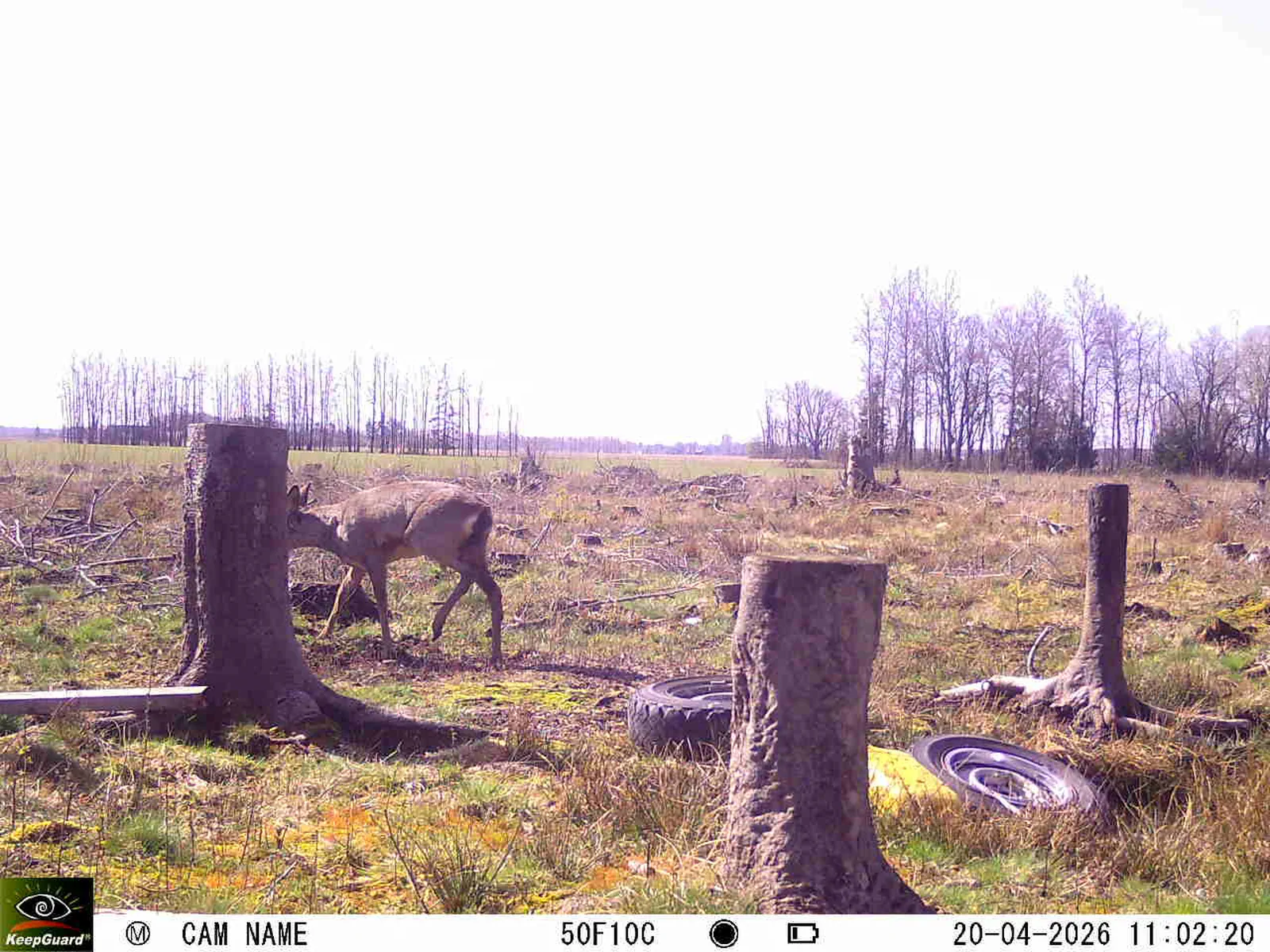 Bild: 1776676009578052201_04200743.webp